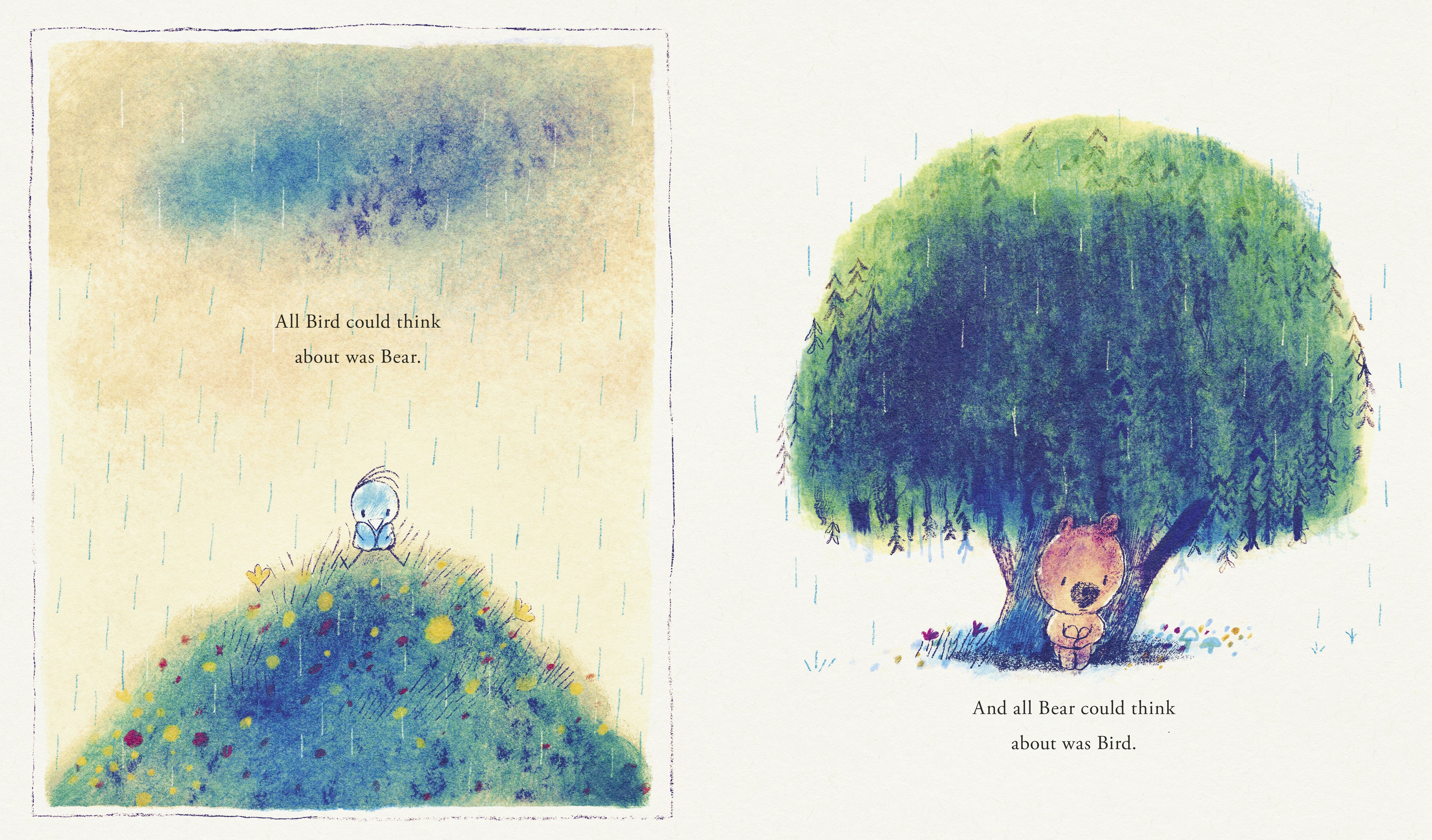 additional book photo