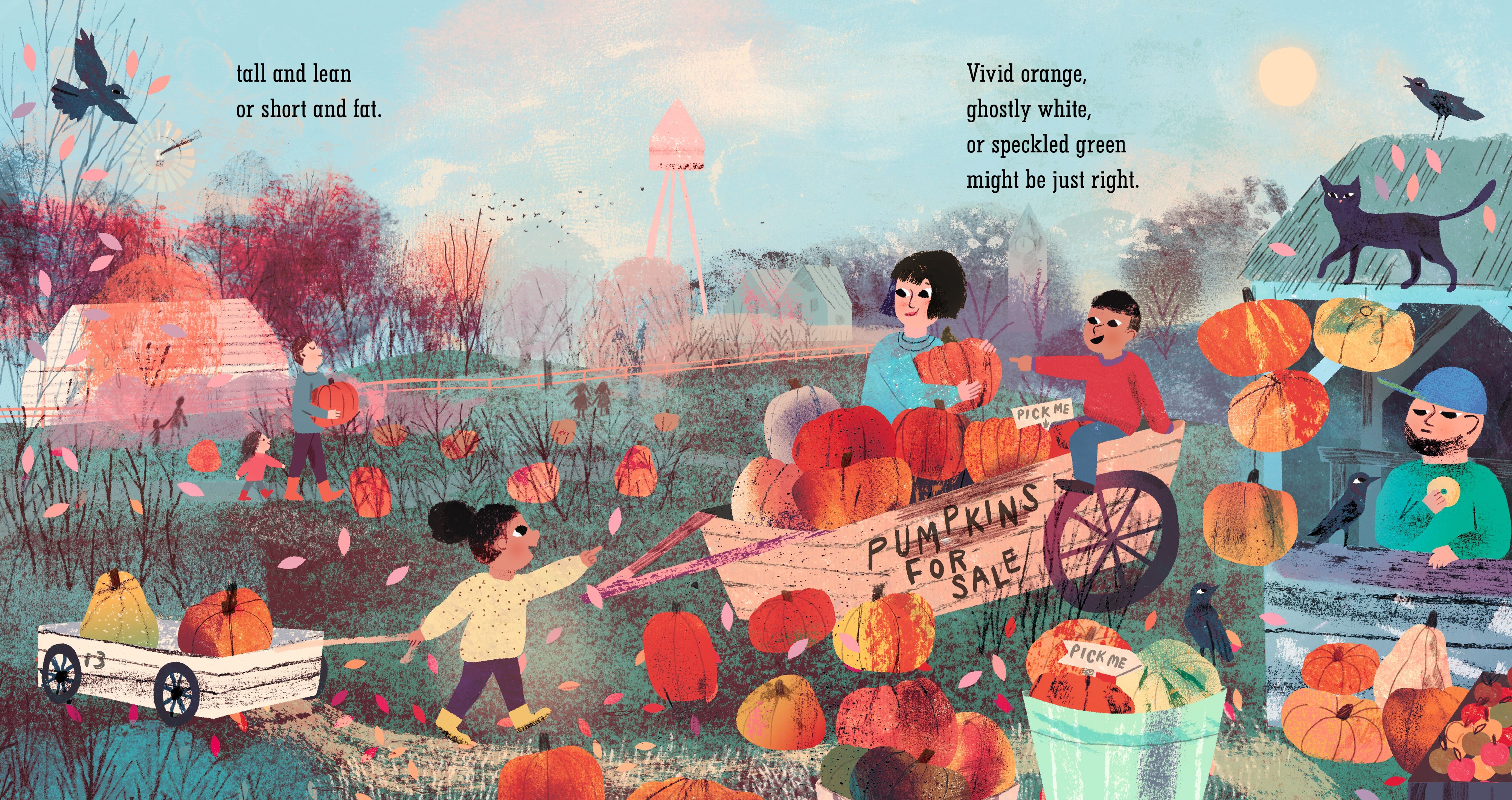 additional book photo