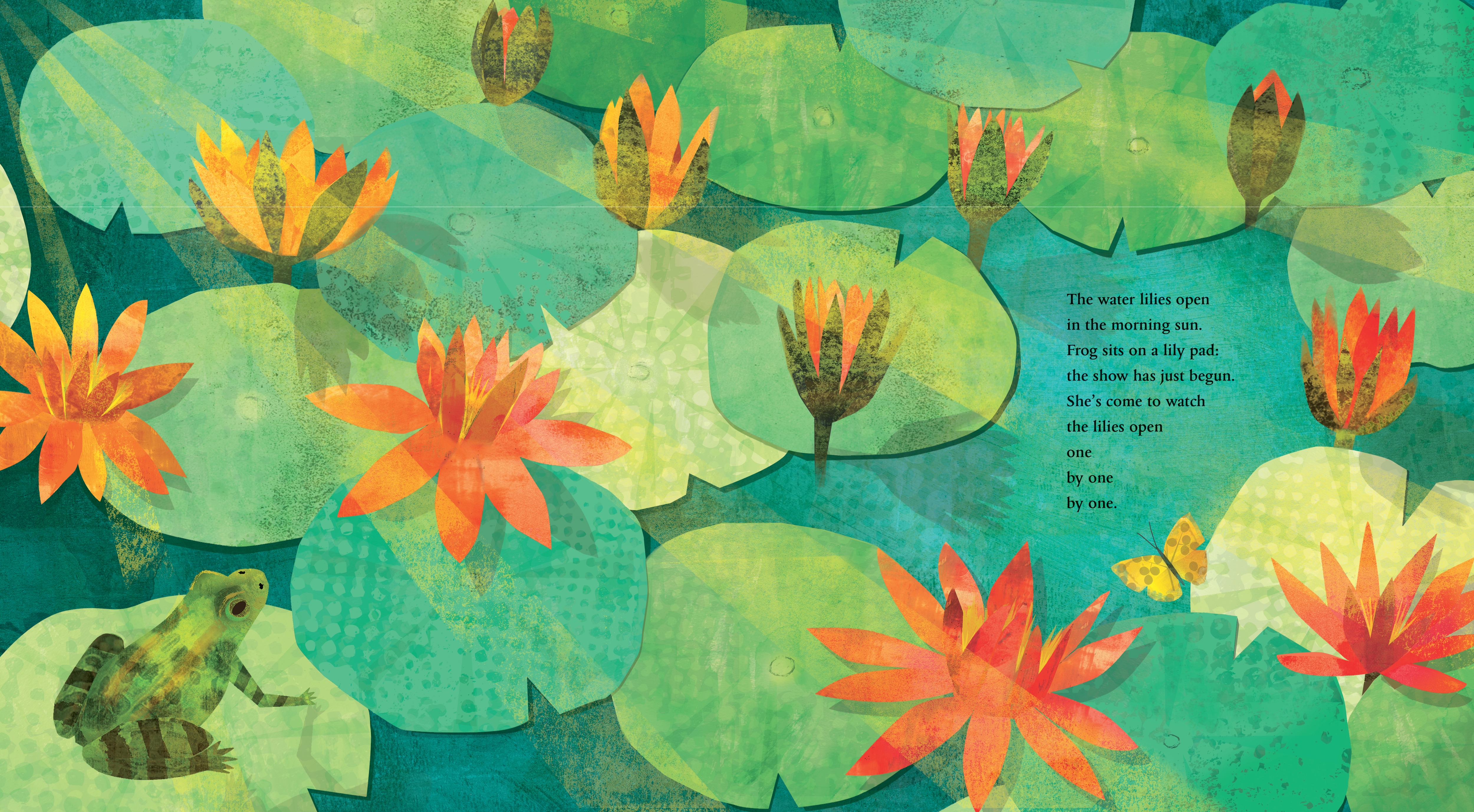 additional book photo