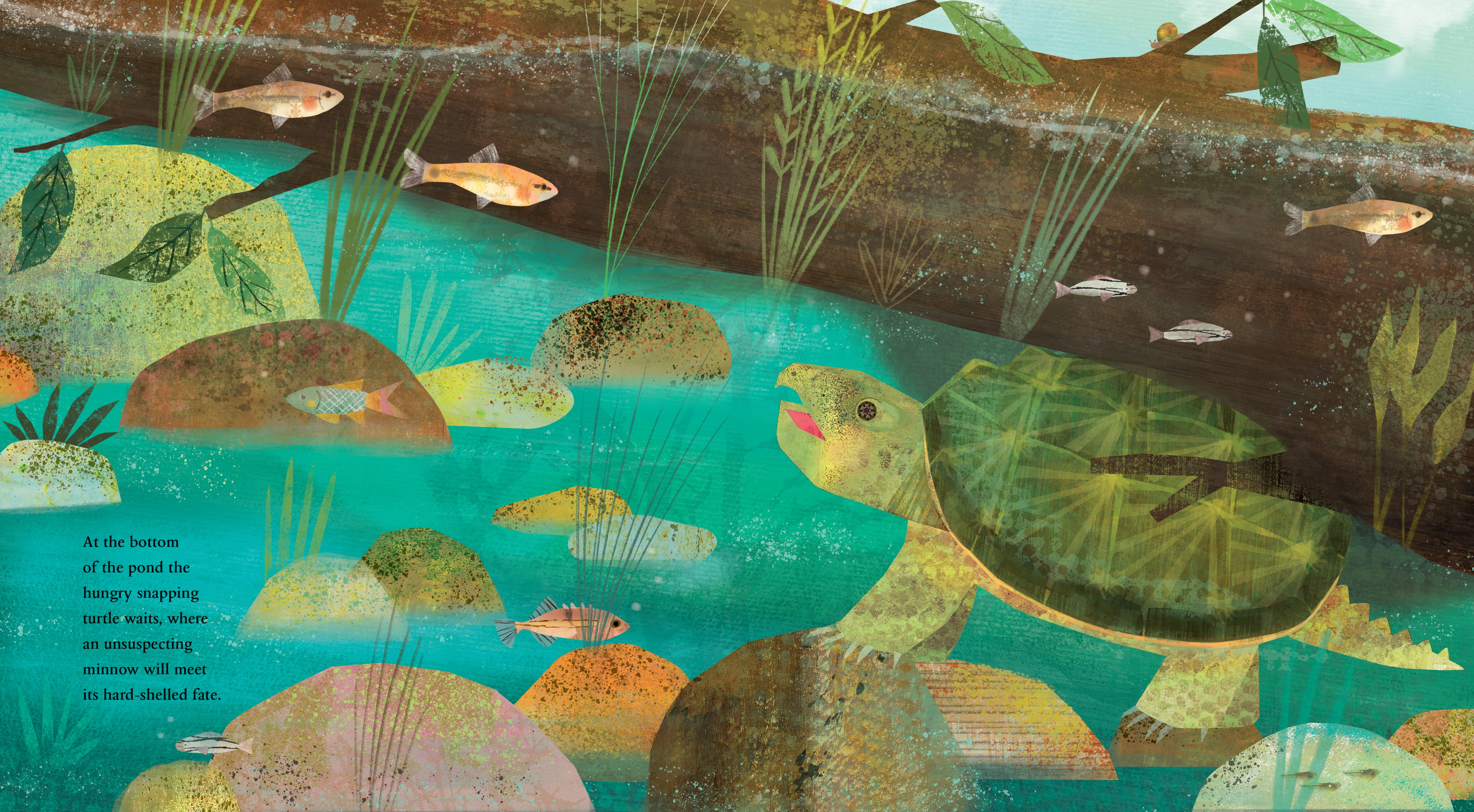 additional book photo