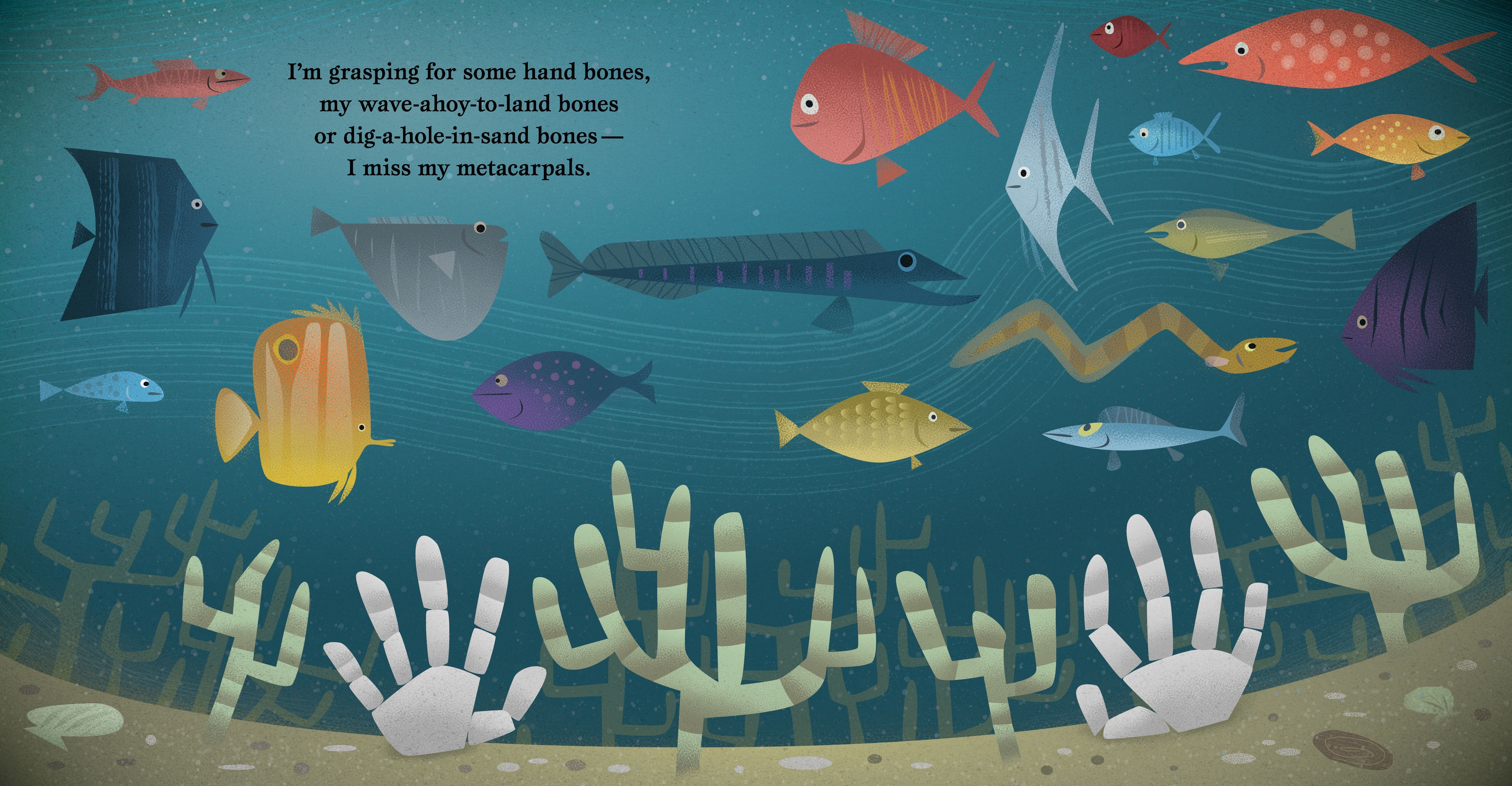 additional book photo