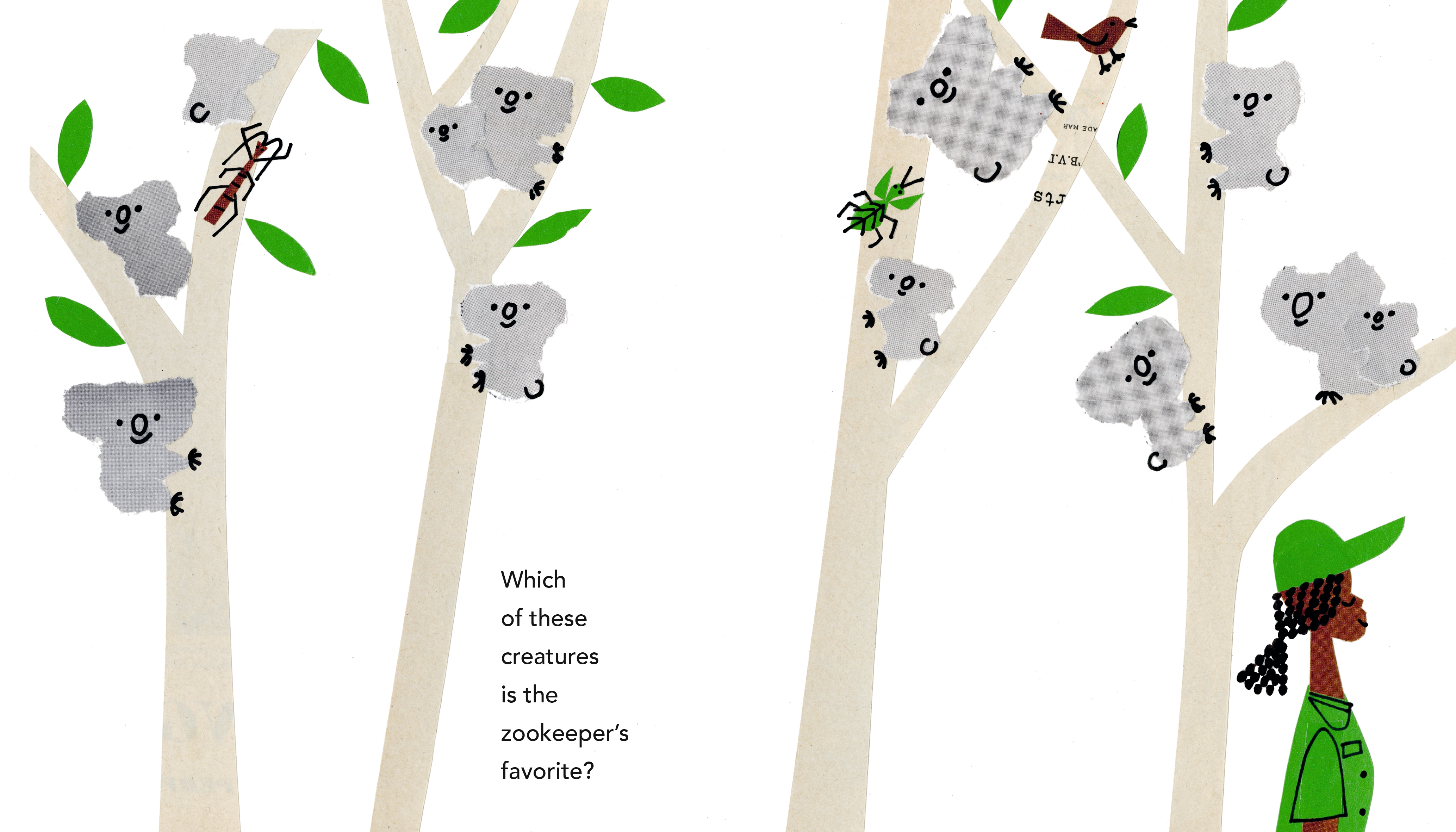 additional book photo