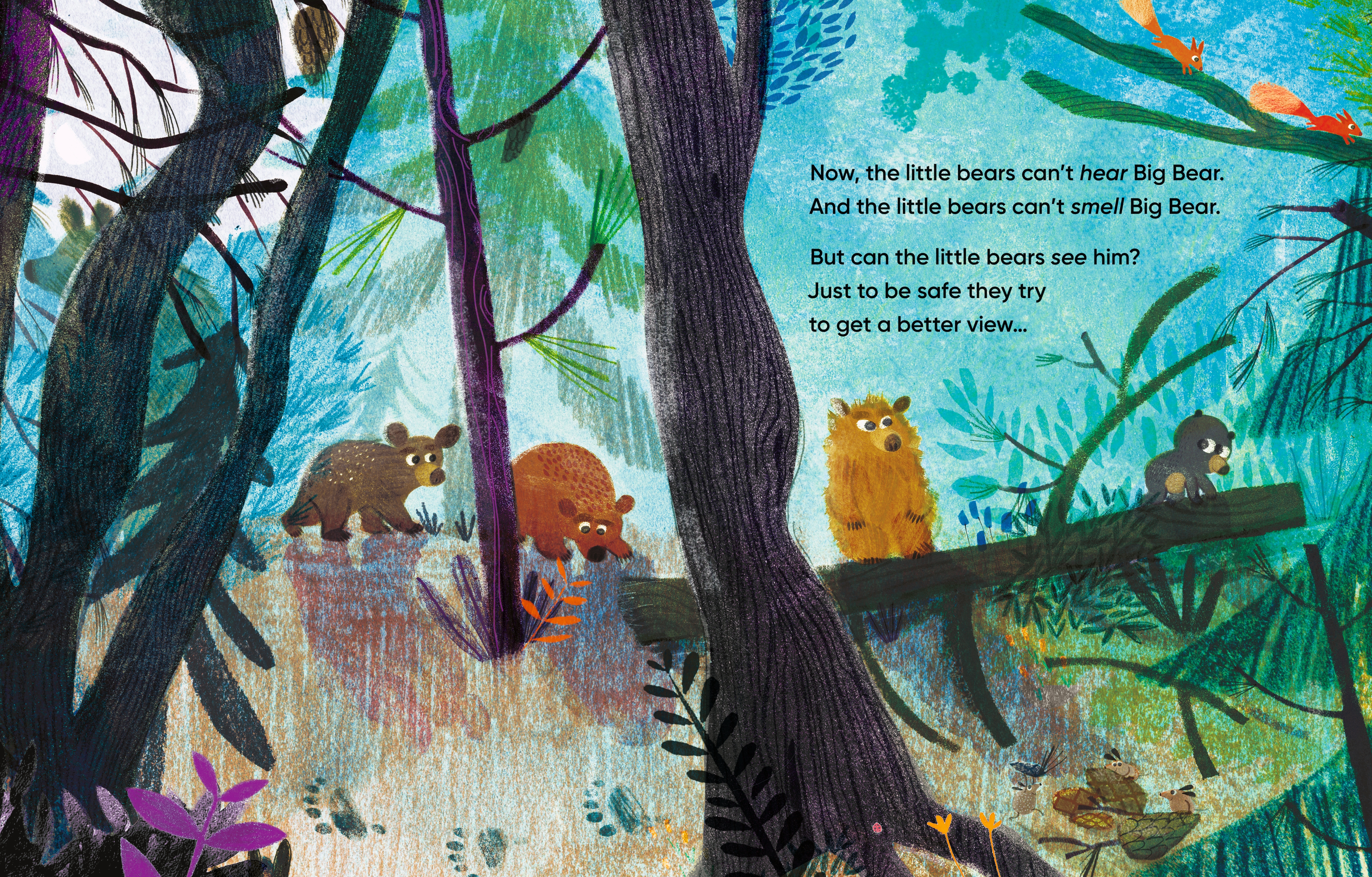 additional book photo