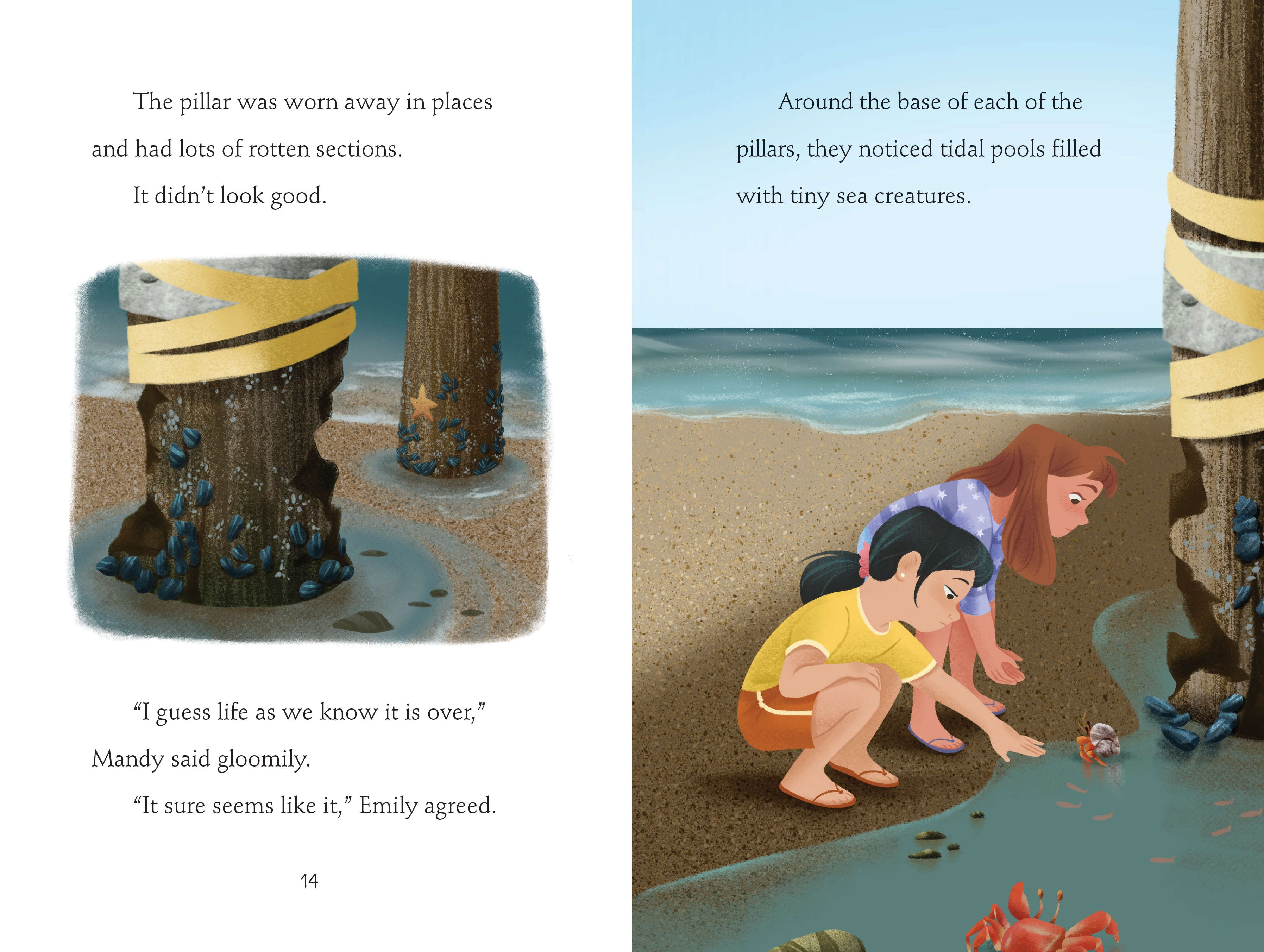 additional book photo