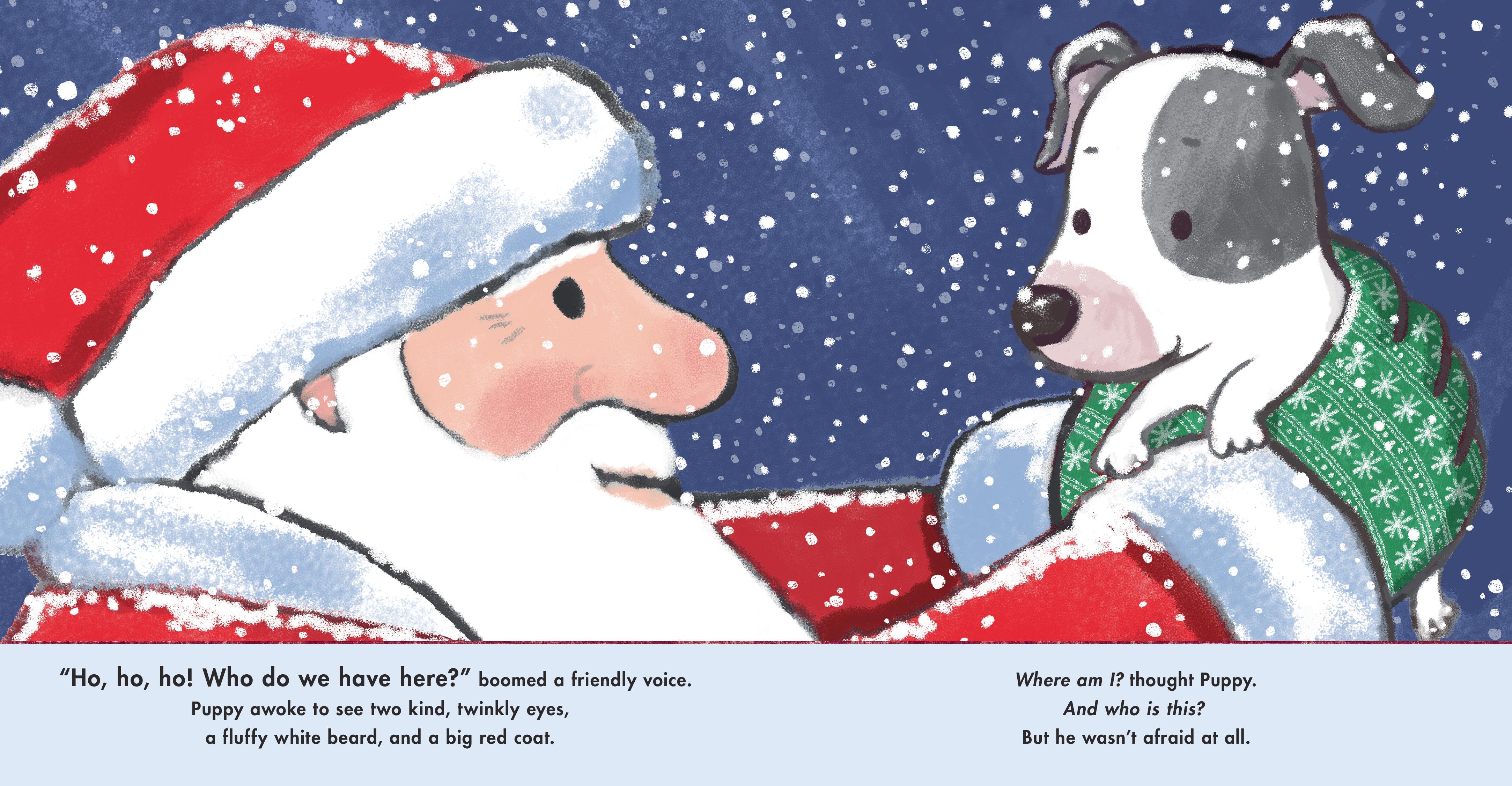 additional book photo