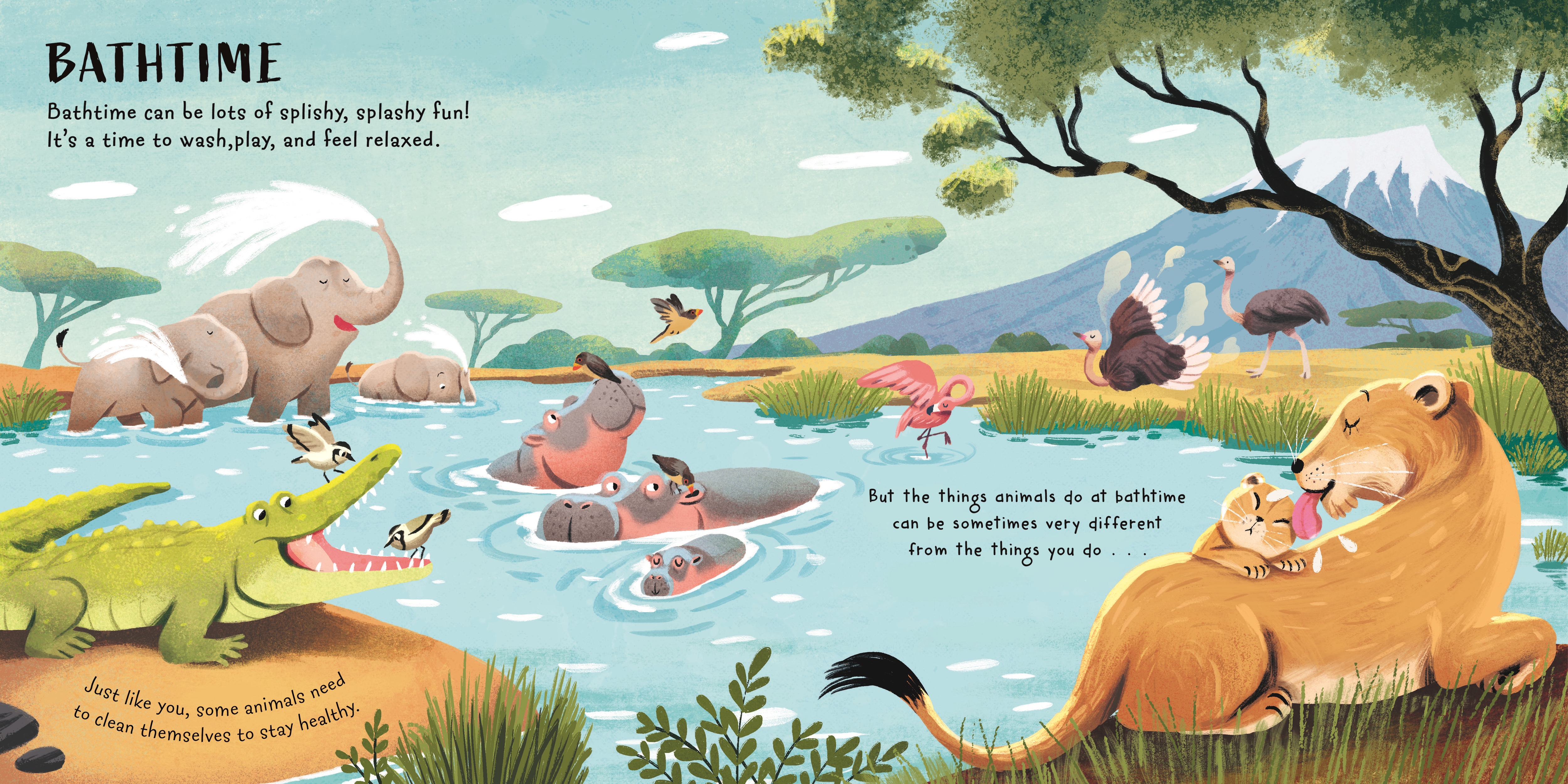 additional book photo