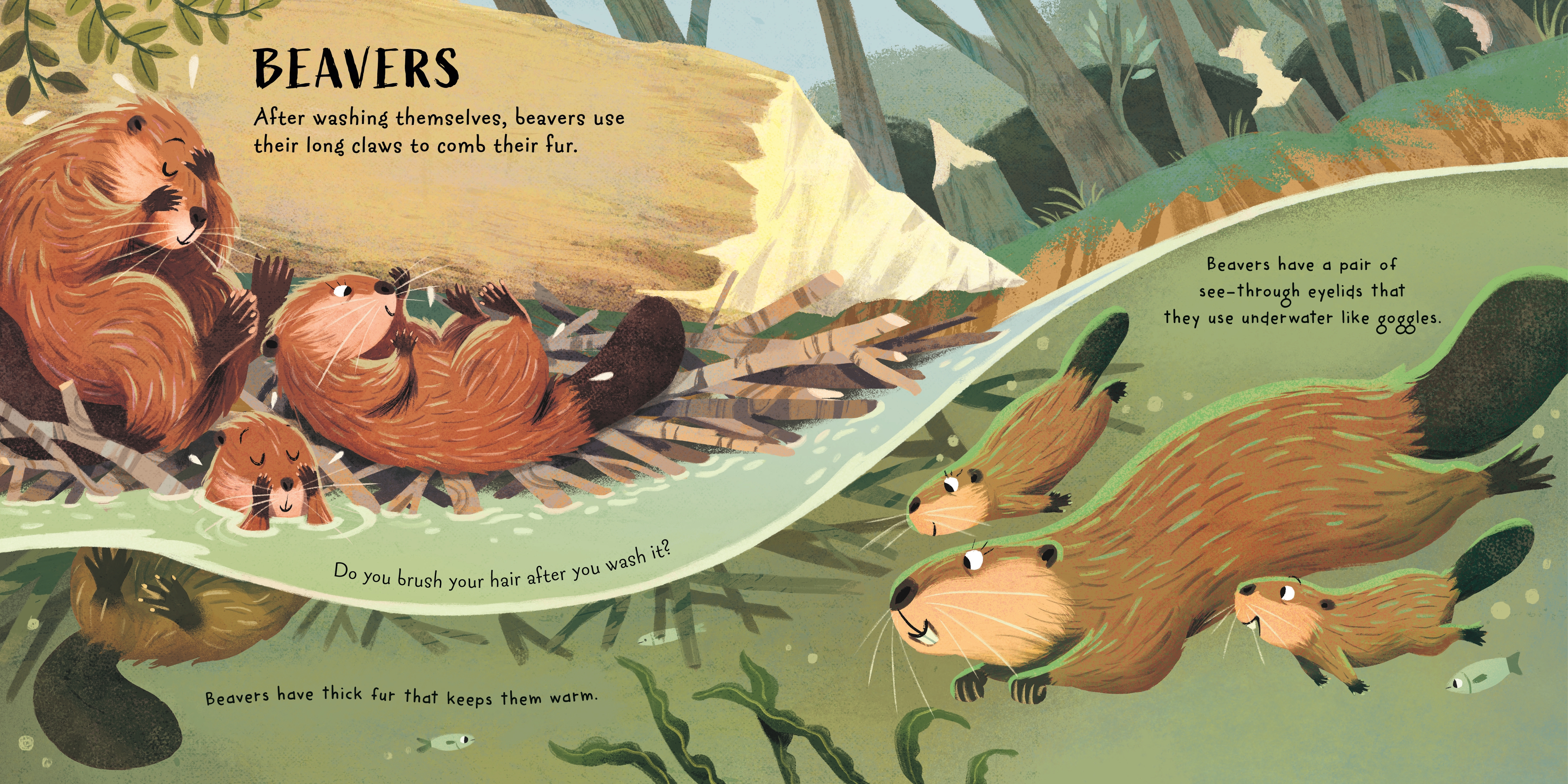 additional book photo