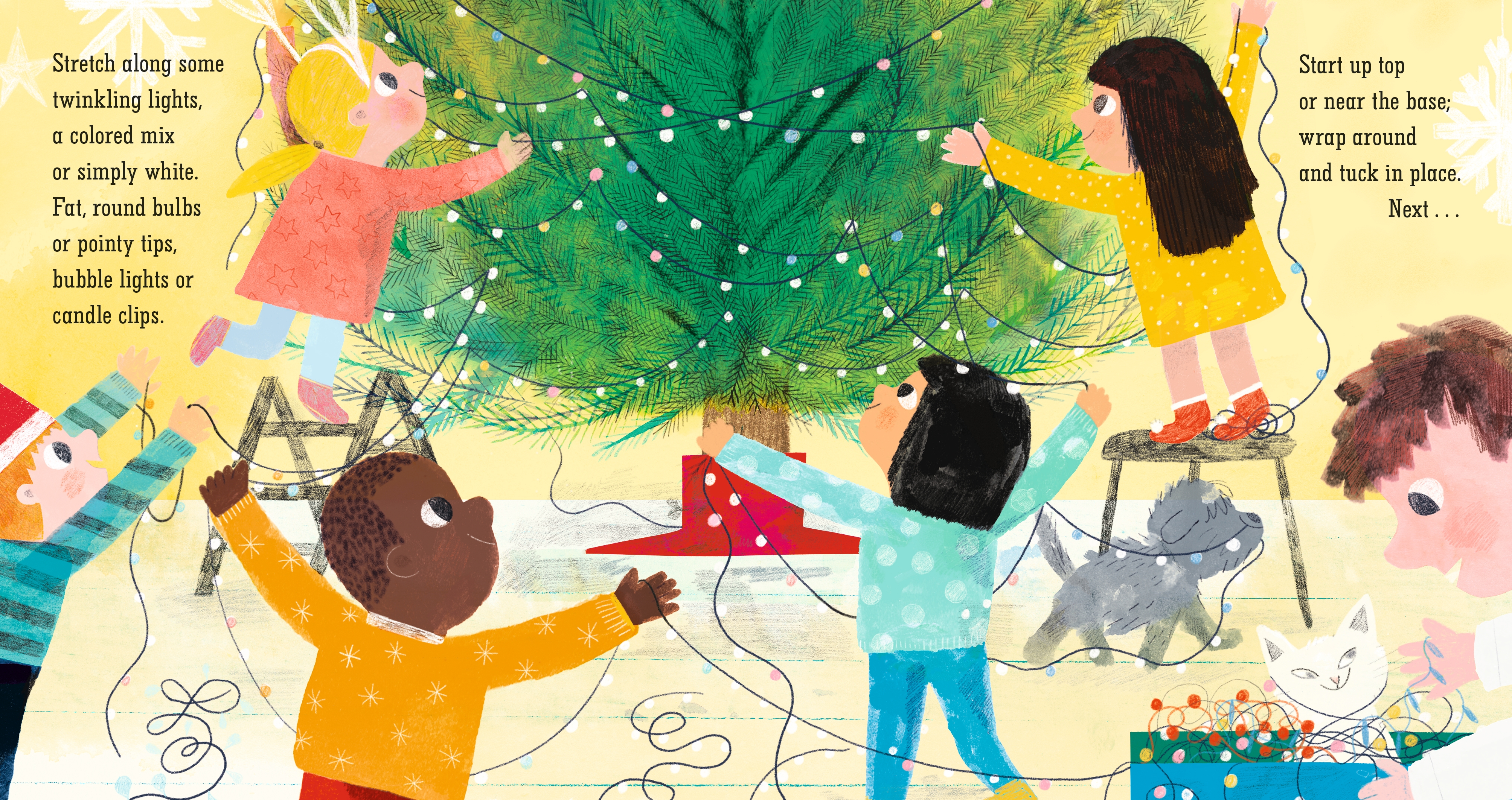 additional book photo