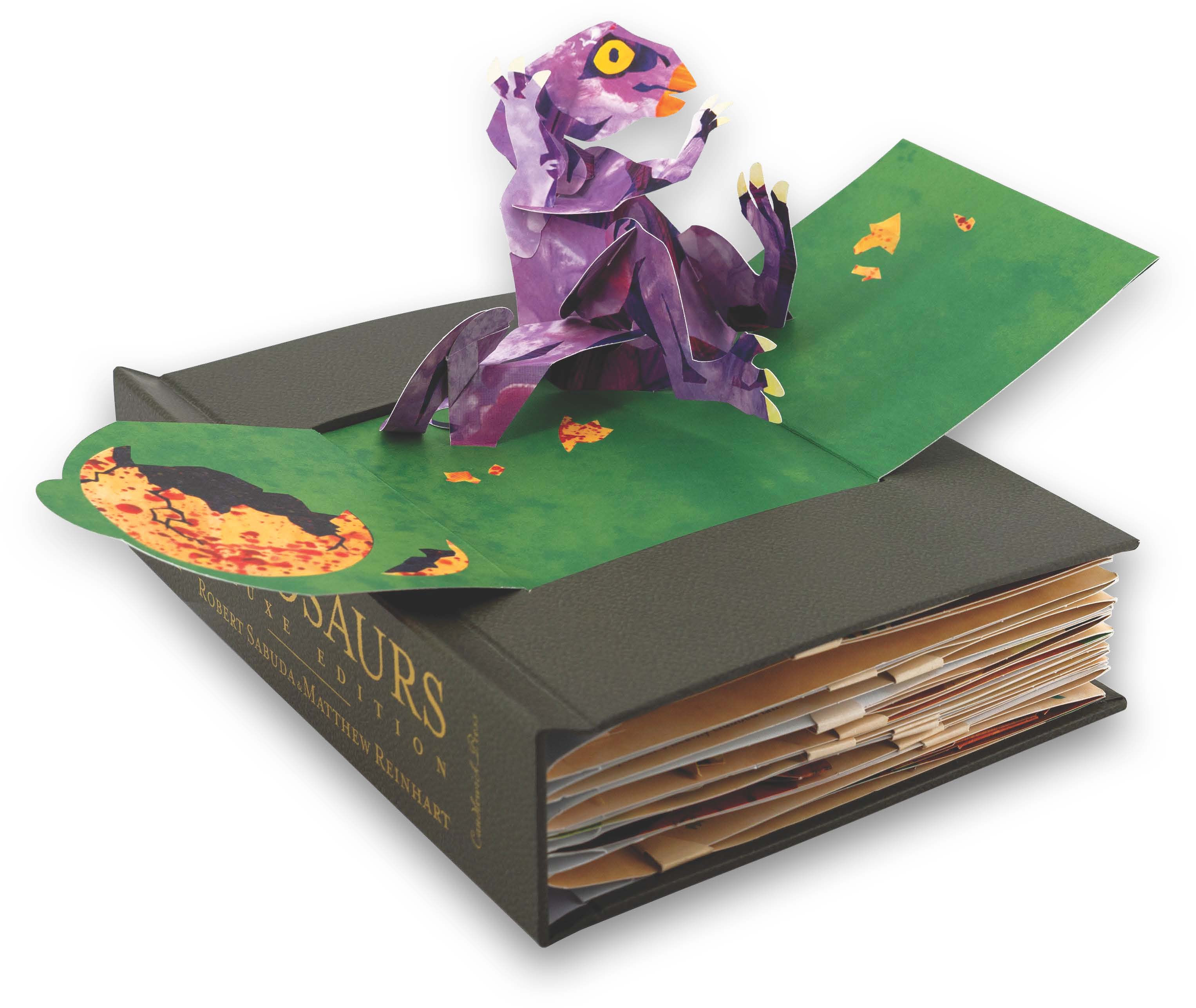 additional book photo