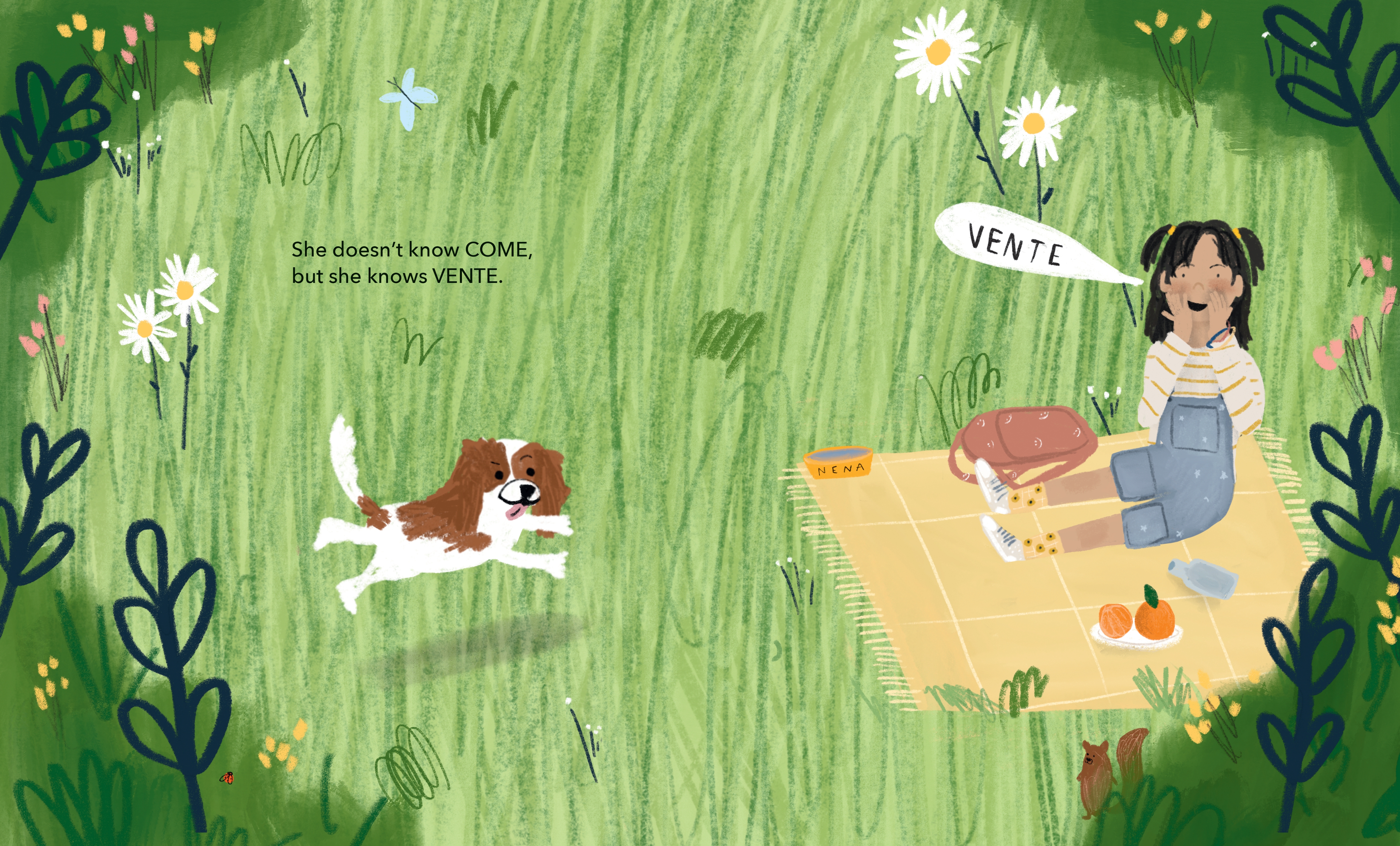 additional book photo