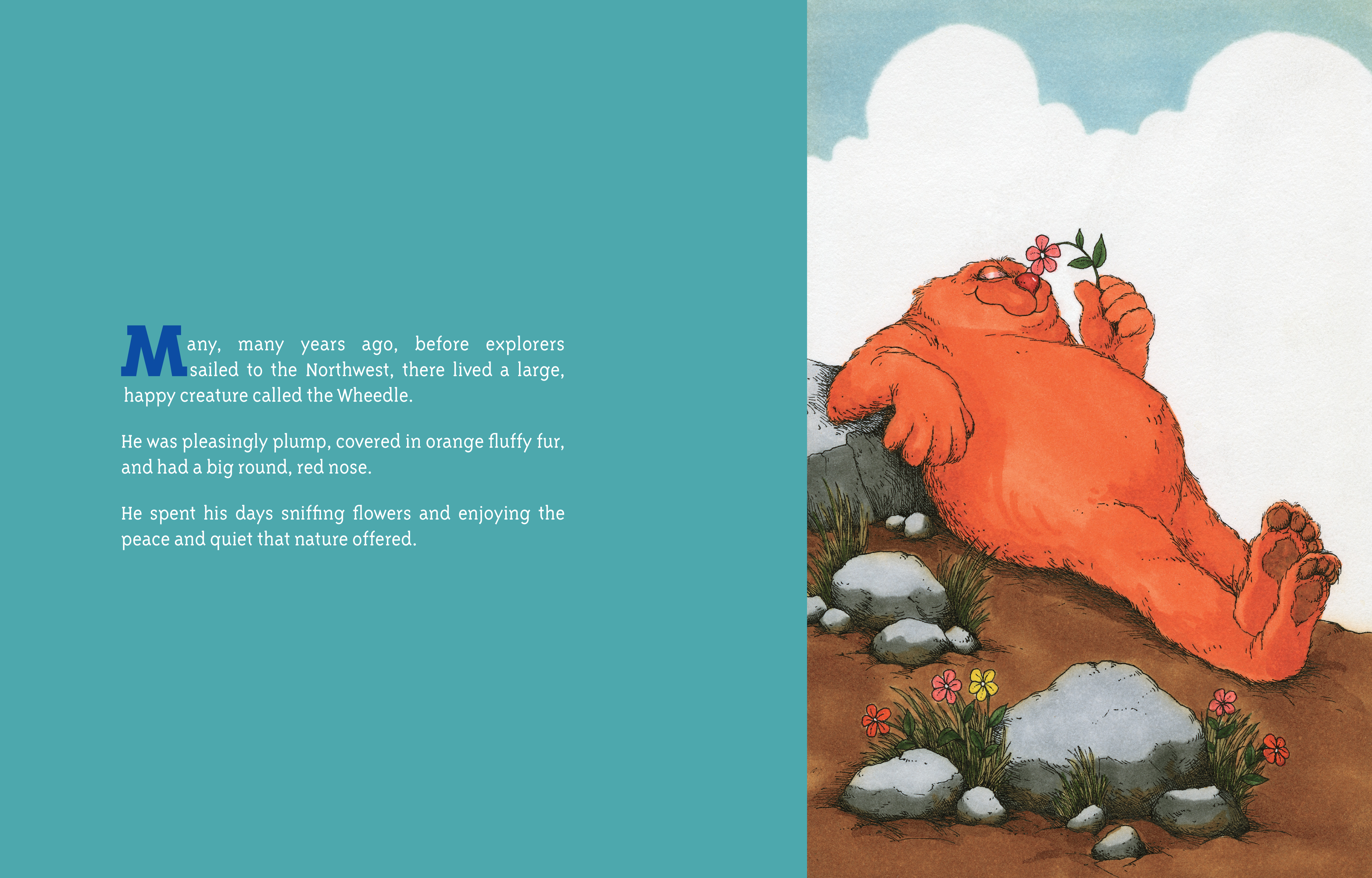 additional book photo