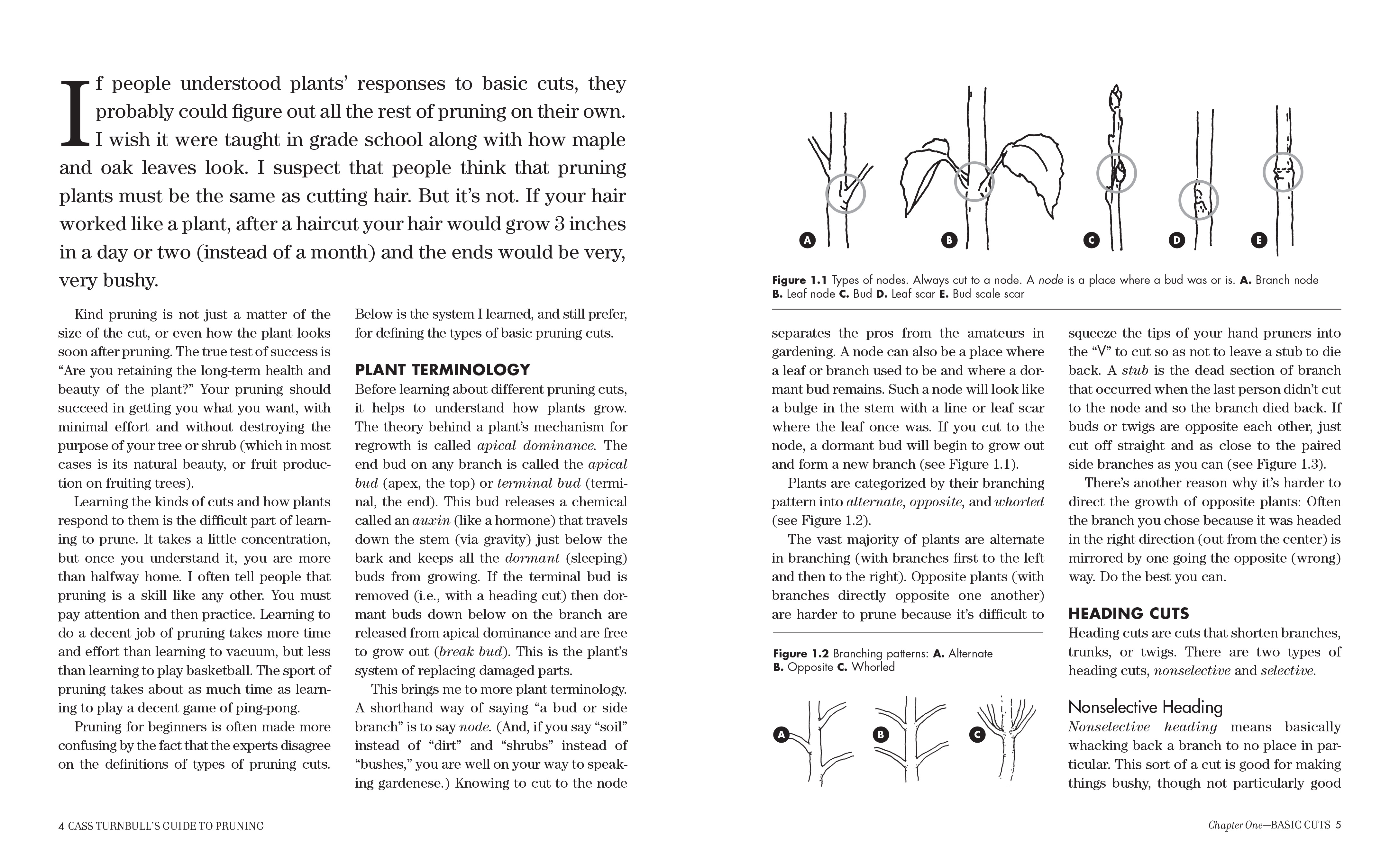 additional book photo