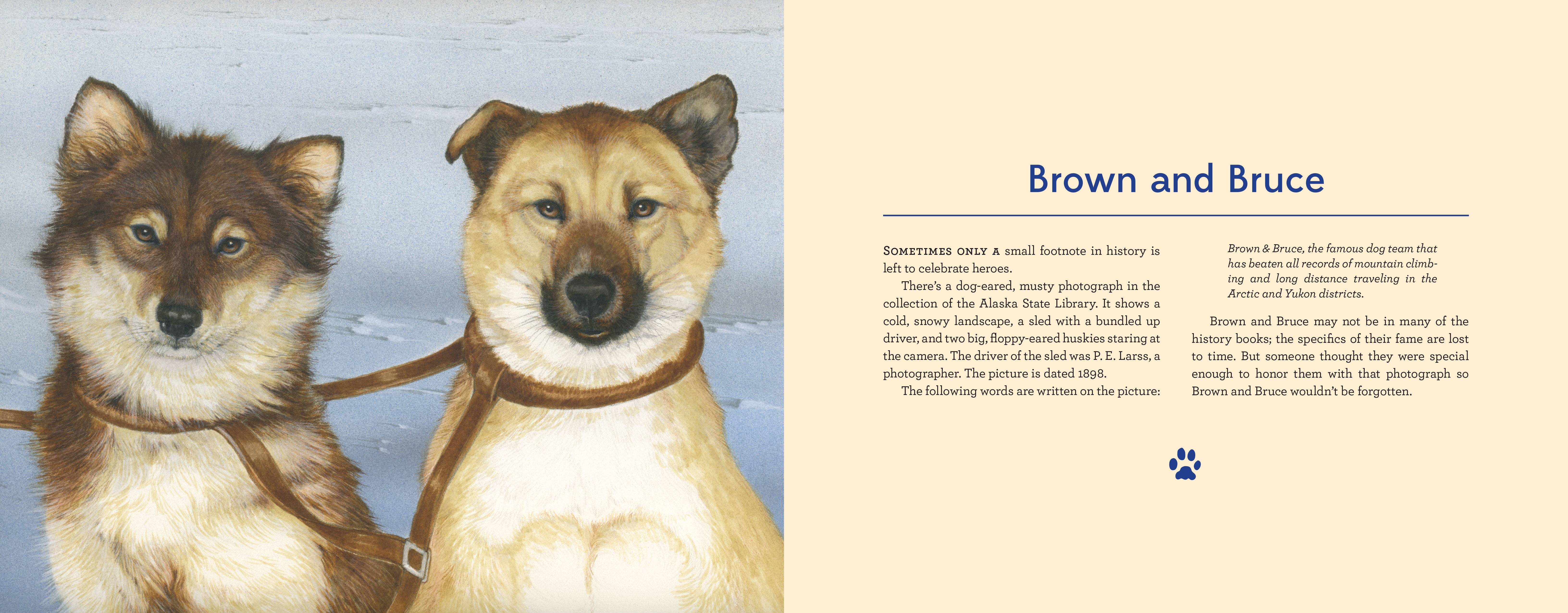 additional book photo