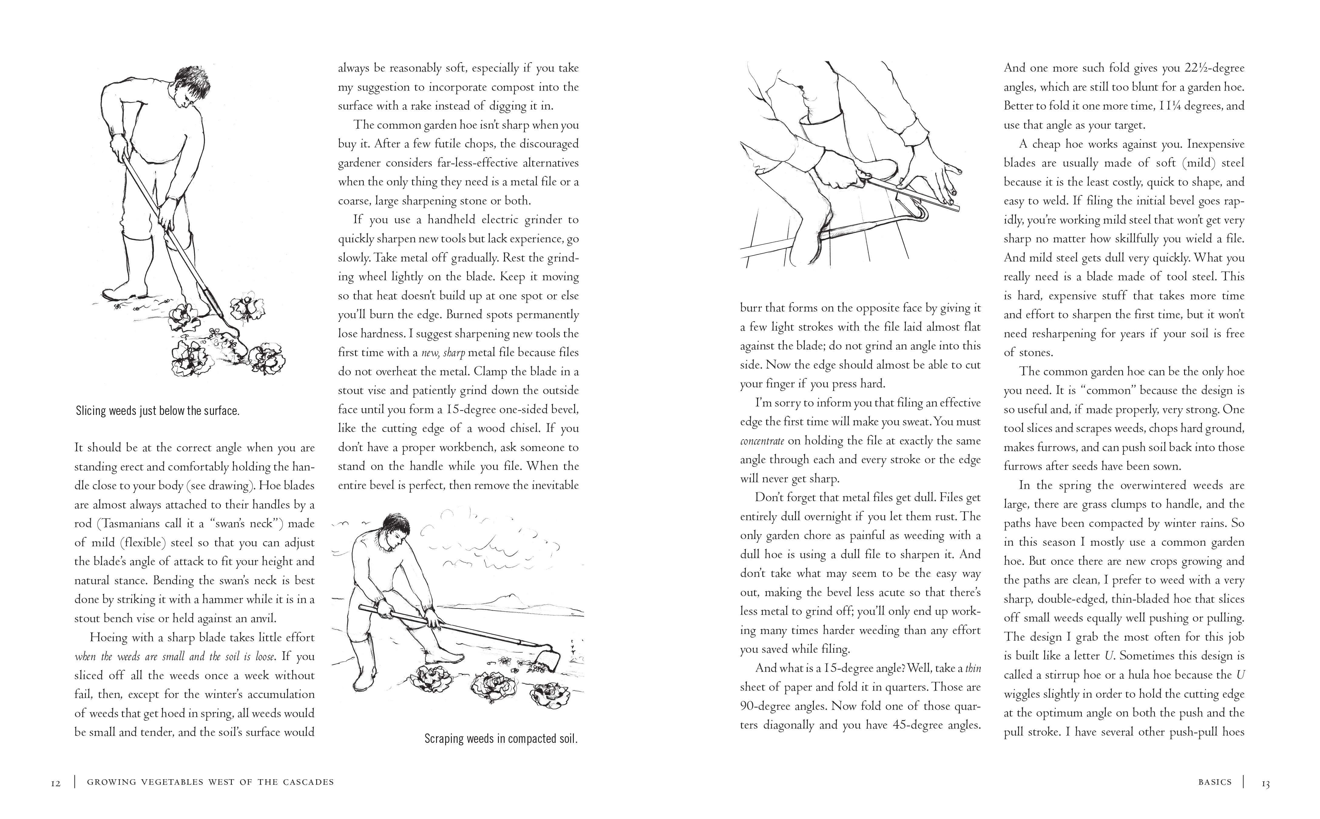 additional book photo