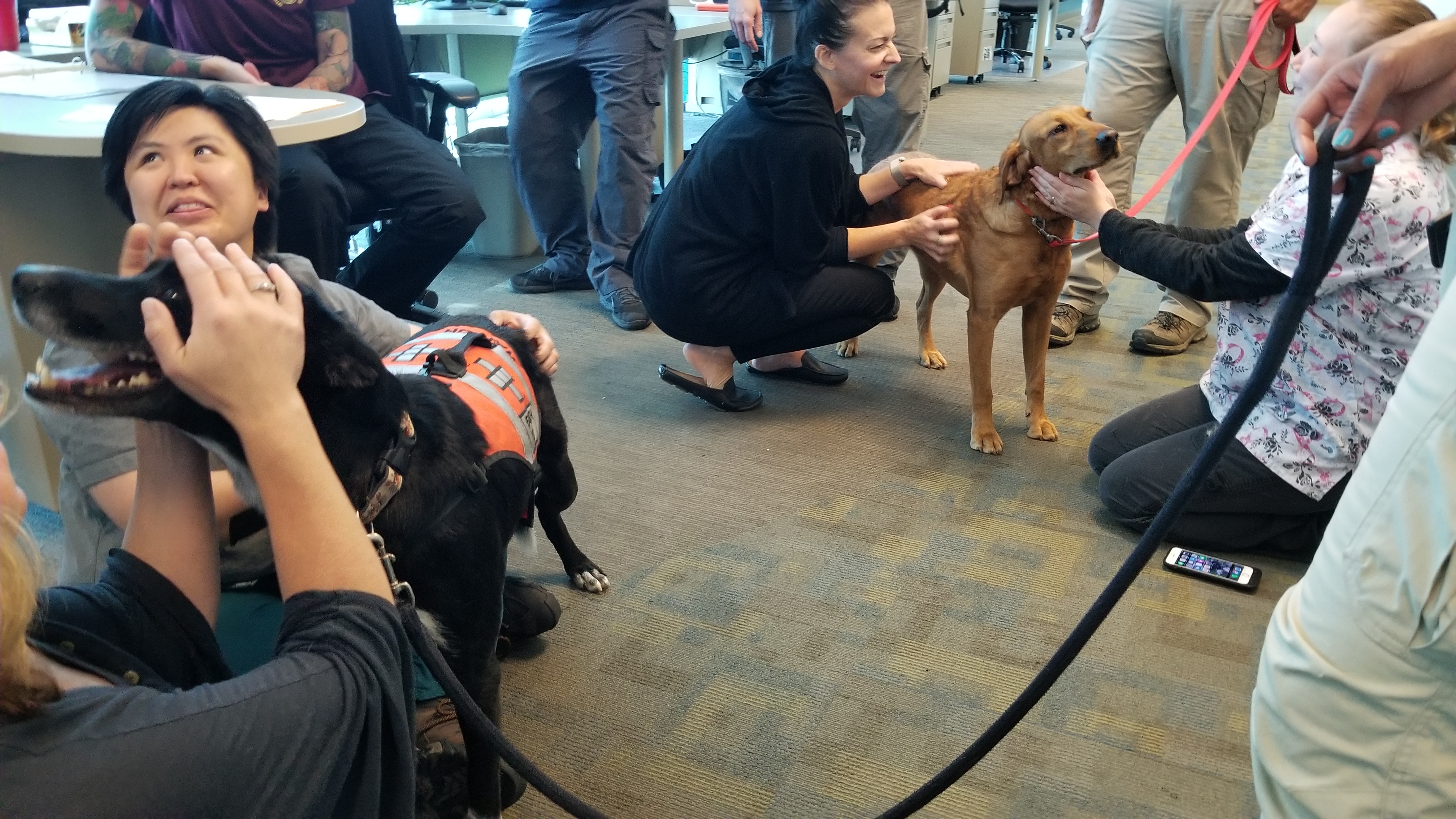 additional book photo