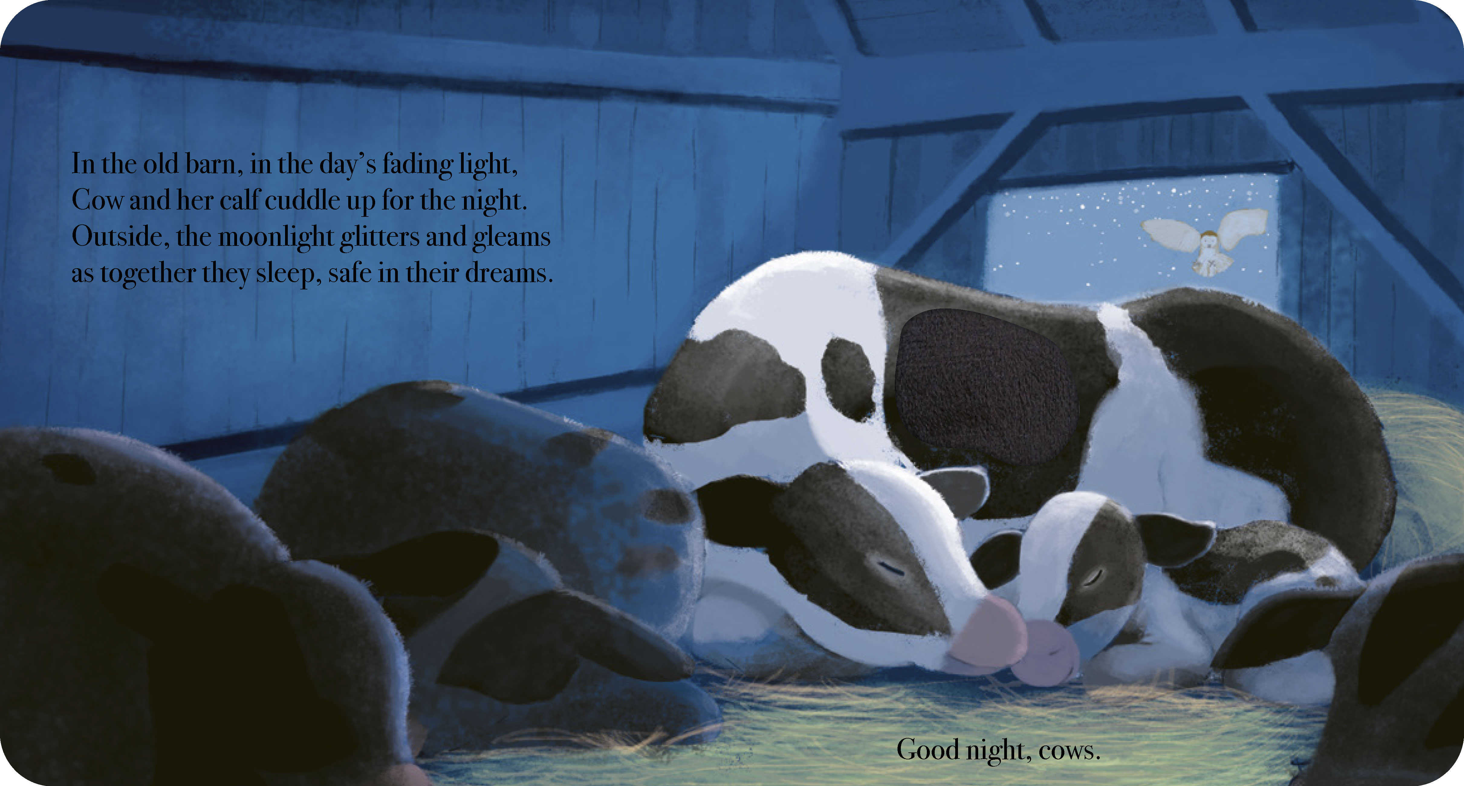 additional book photo