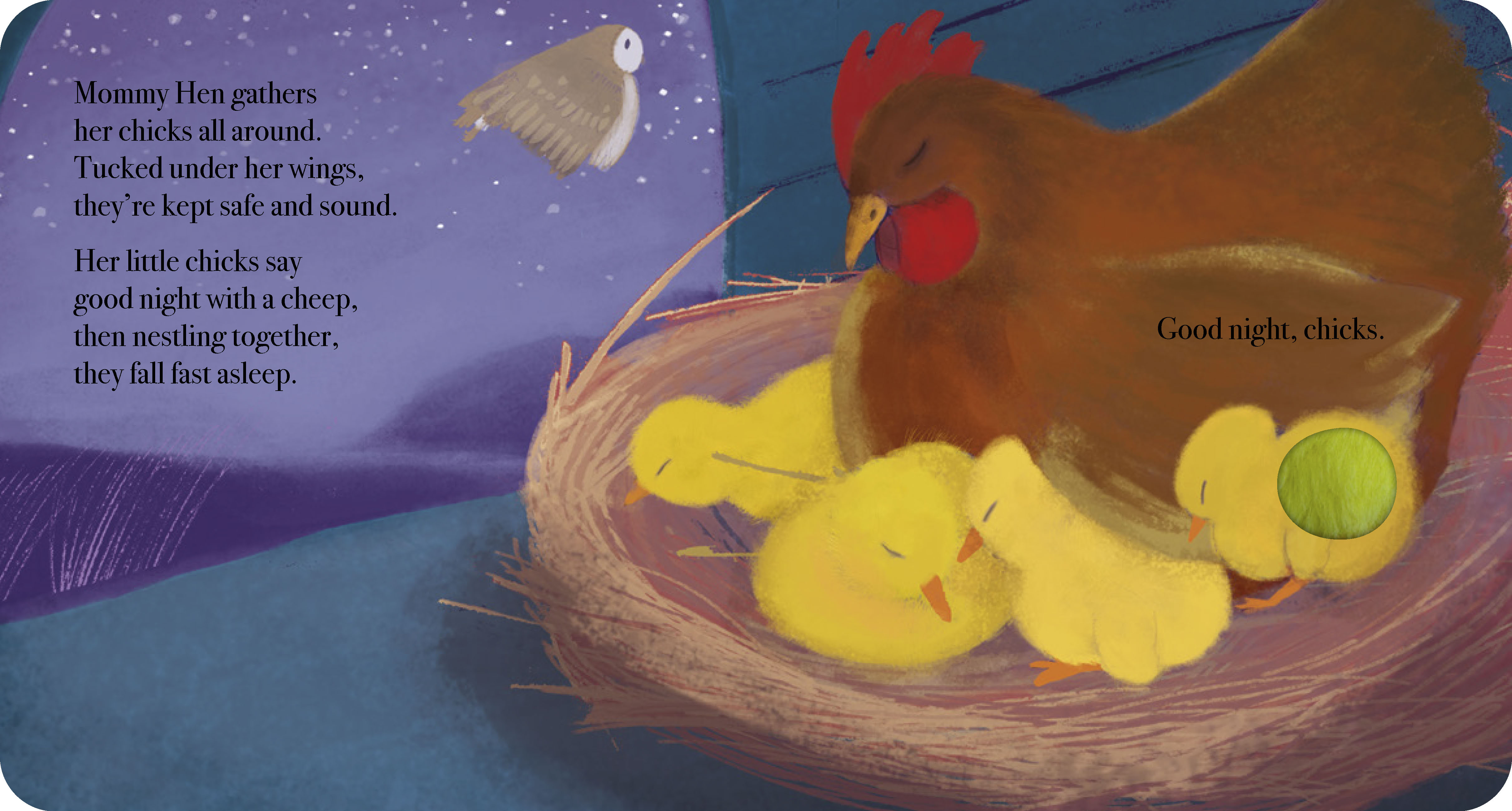 additional book photo