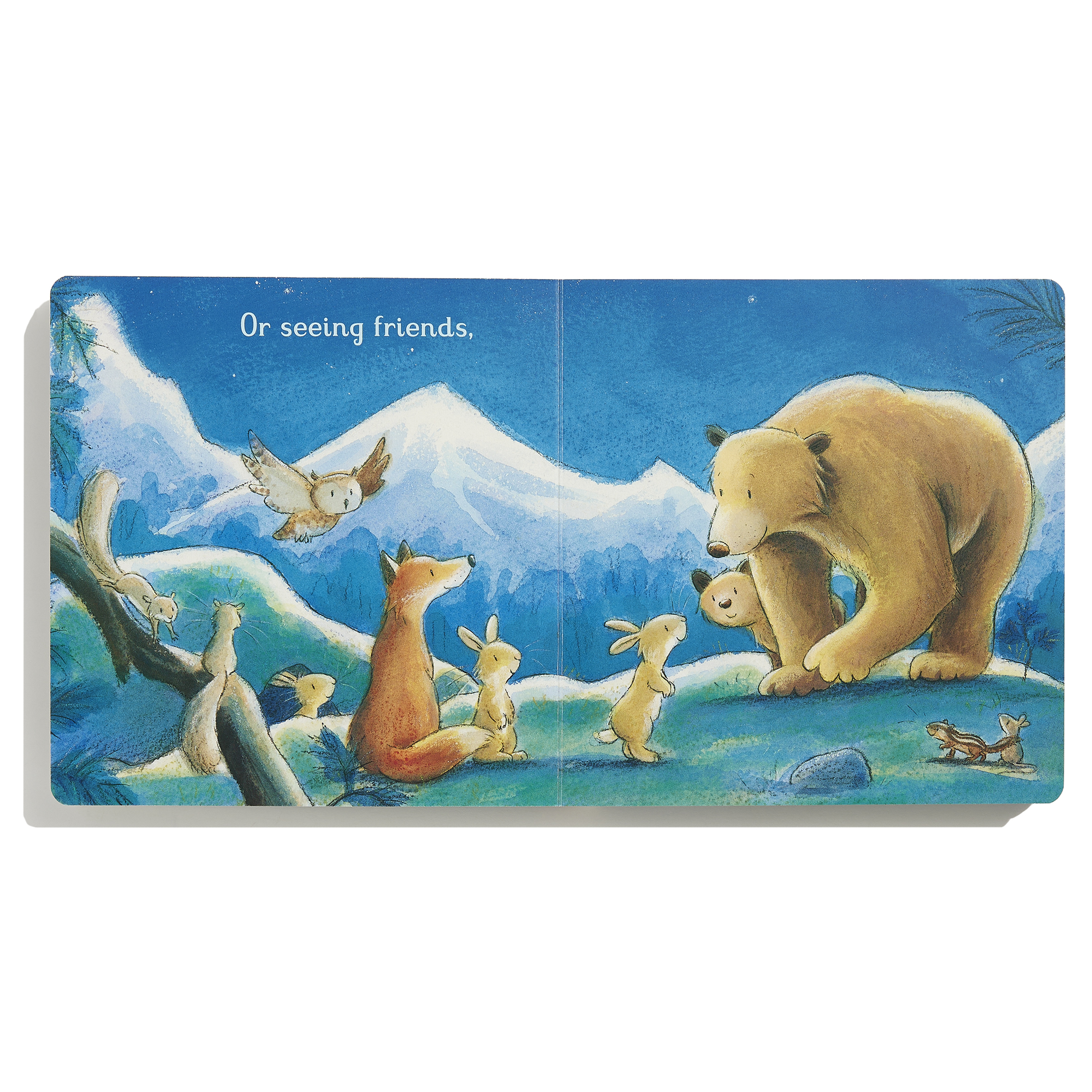 additional book photo