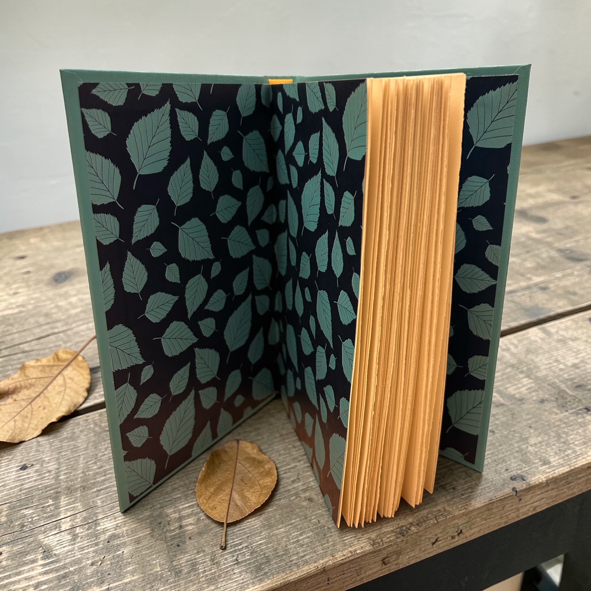 additional book photo