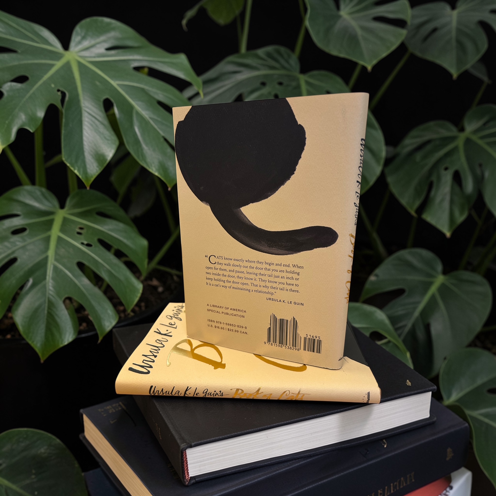 additional book photo