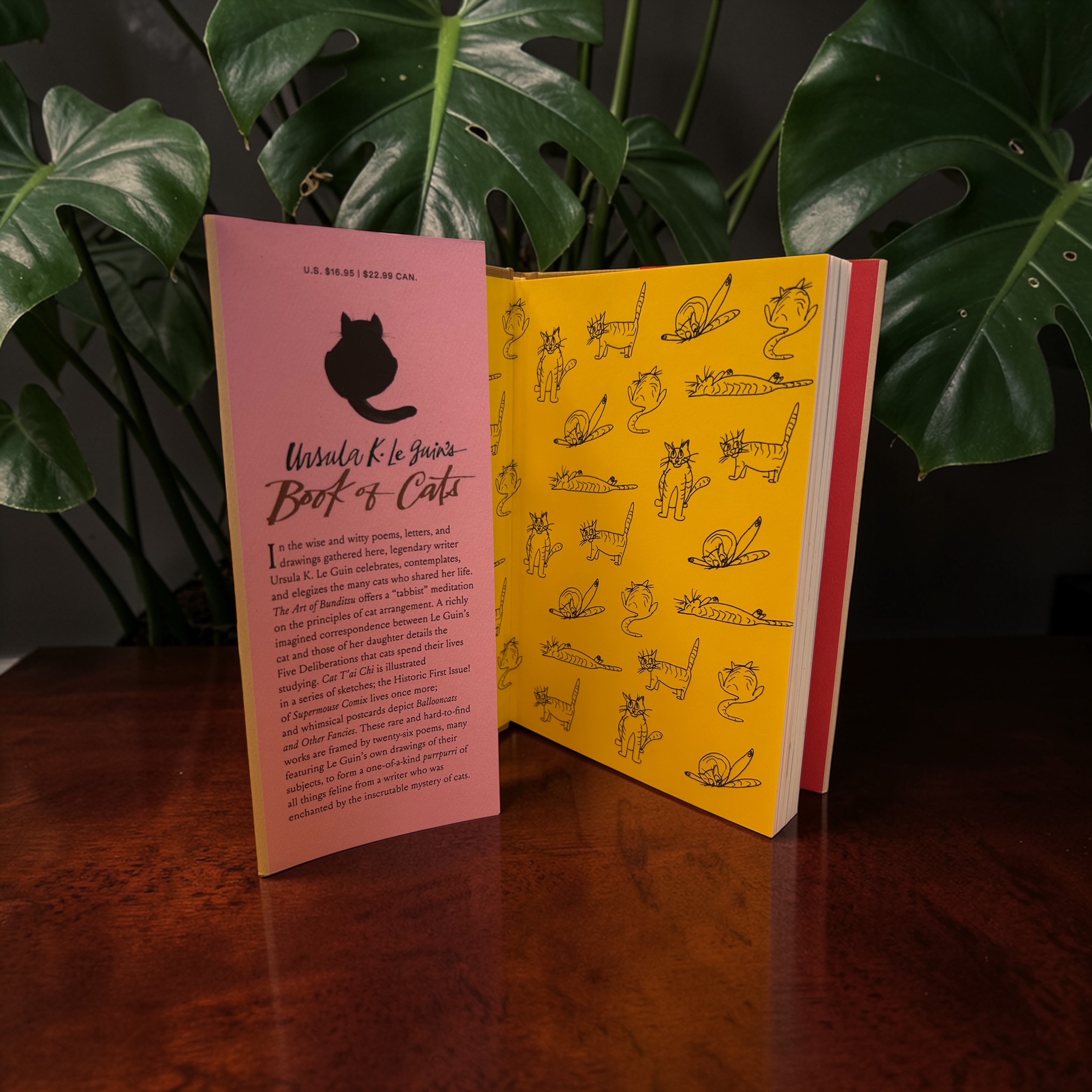 additional book photo