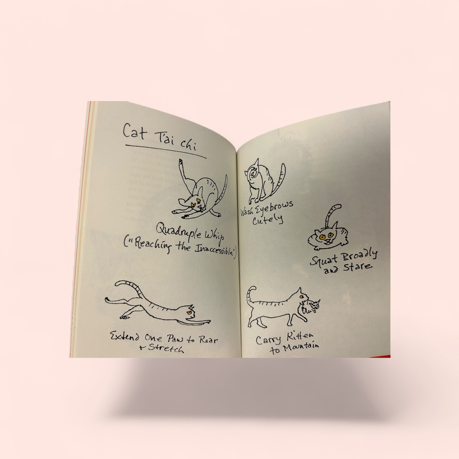 additional book photo