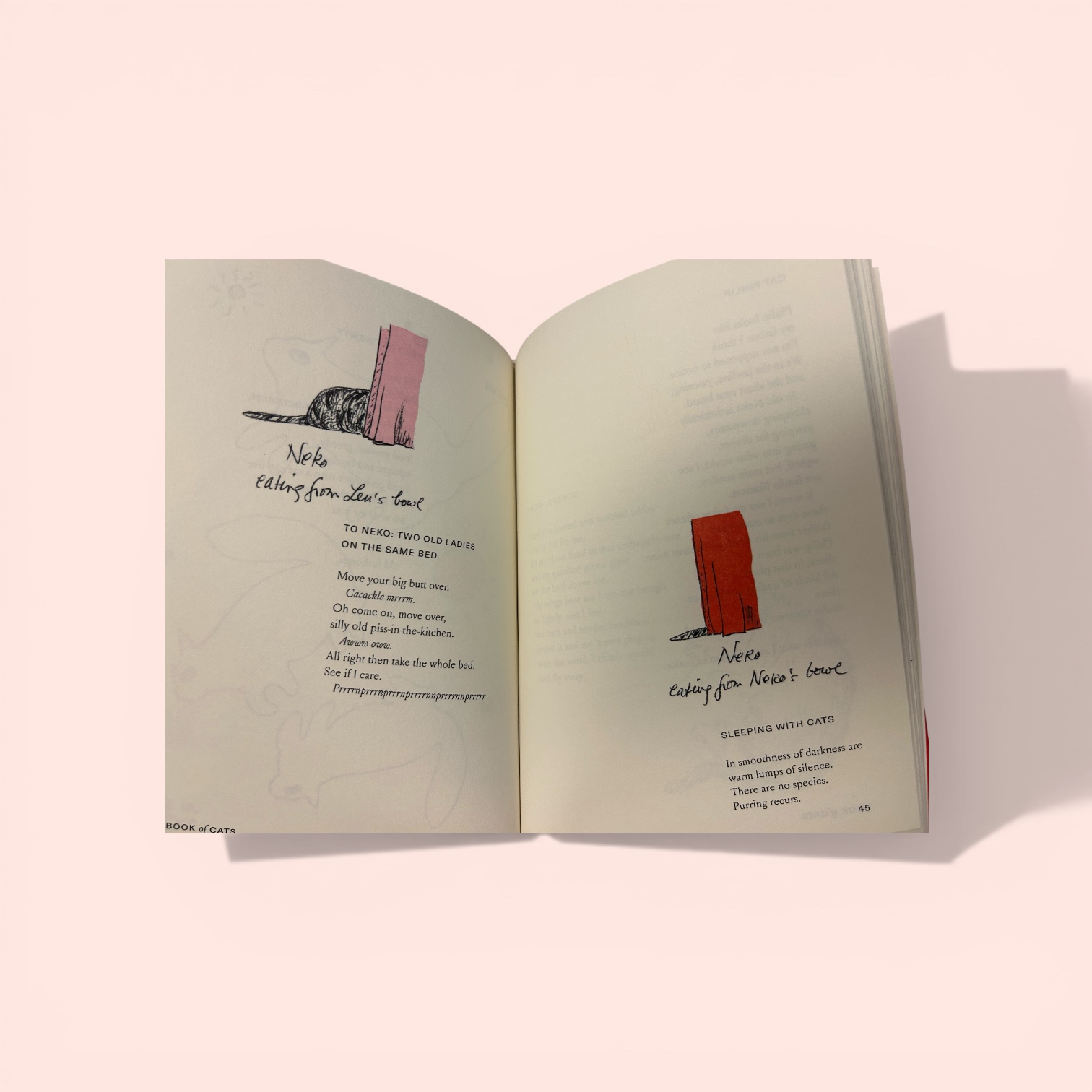 additional book photo