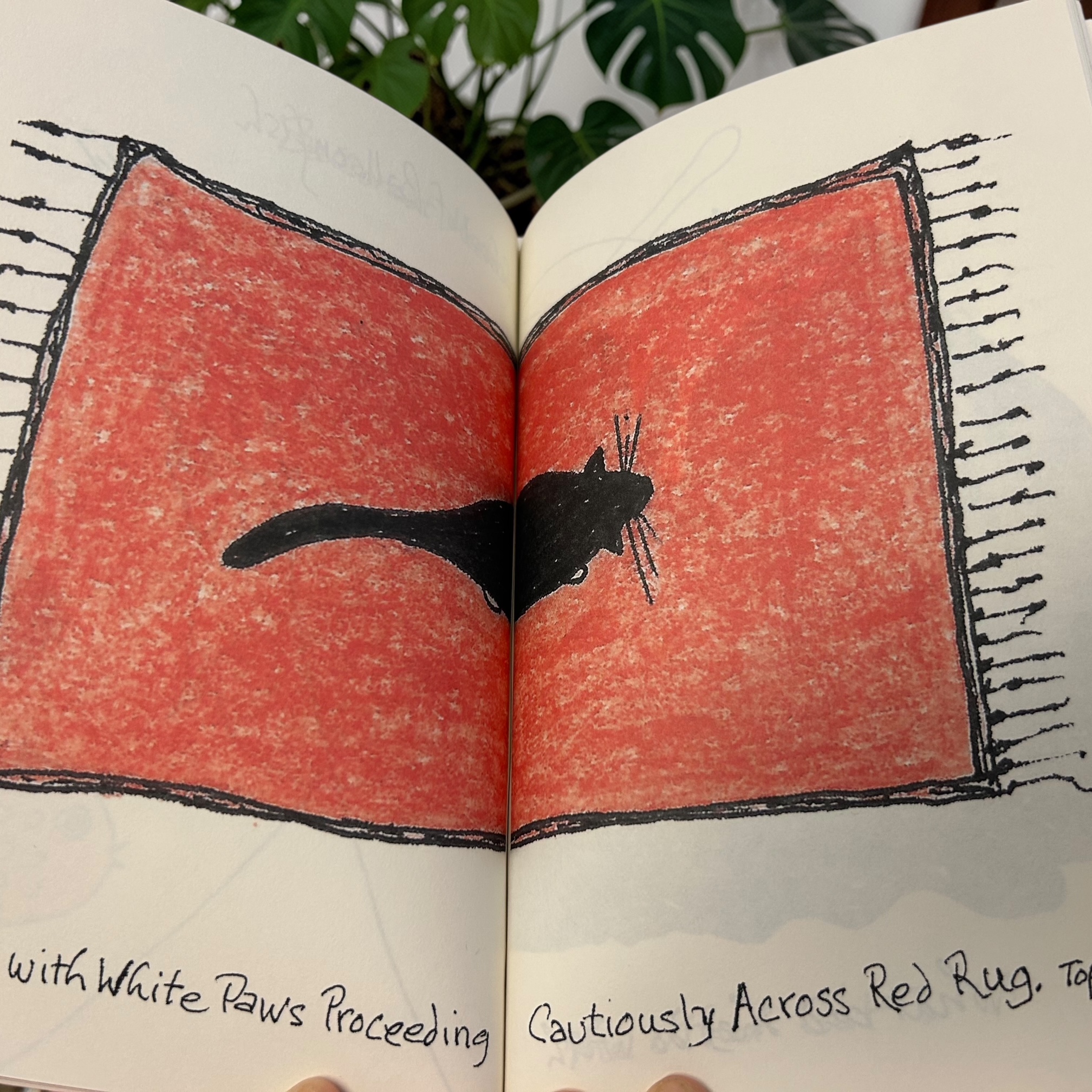 additional book photo