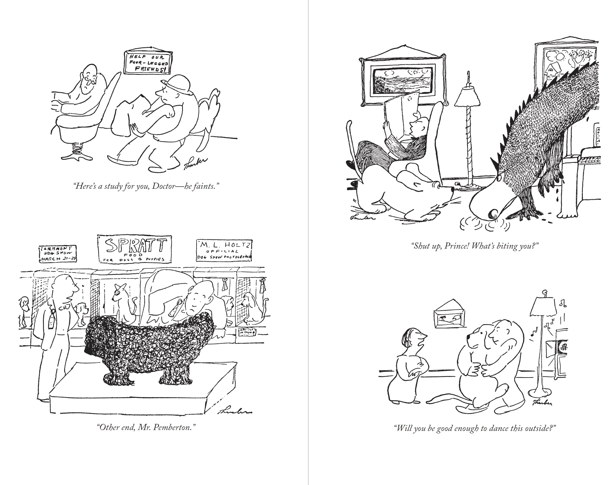 additional book photo