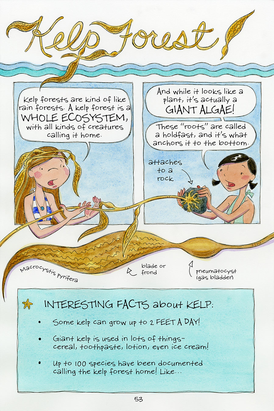 additional book photo