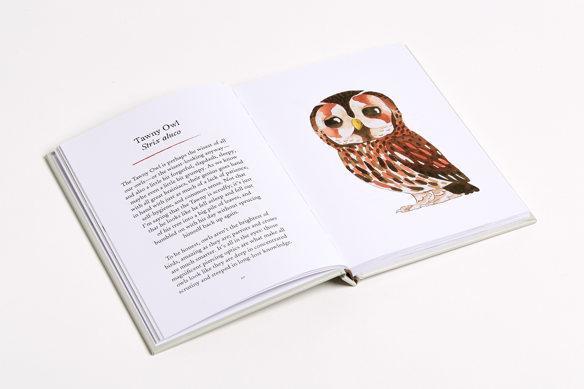 additional book photo