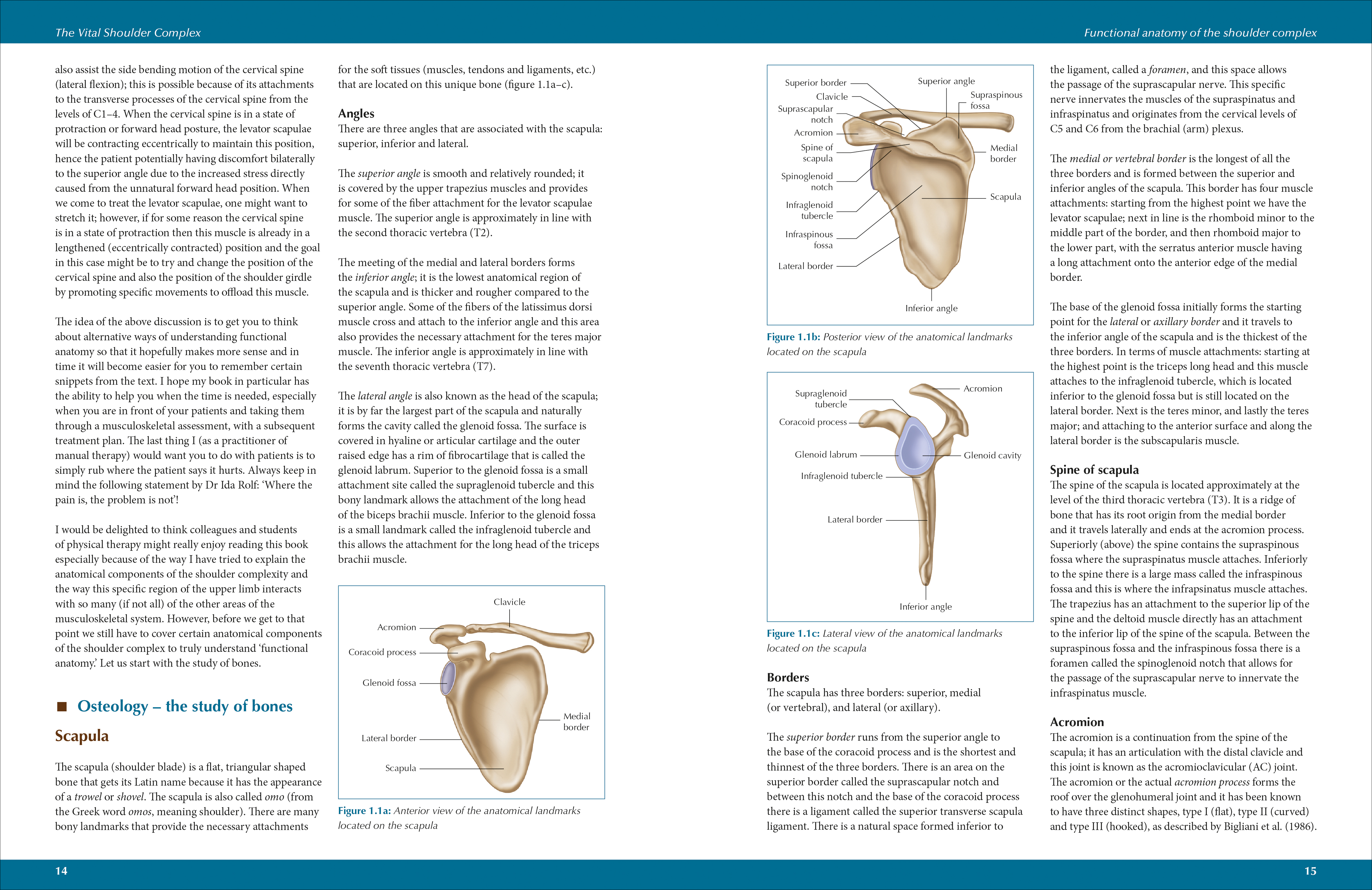 additional book photo