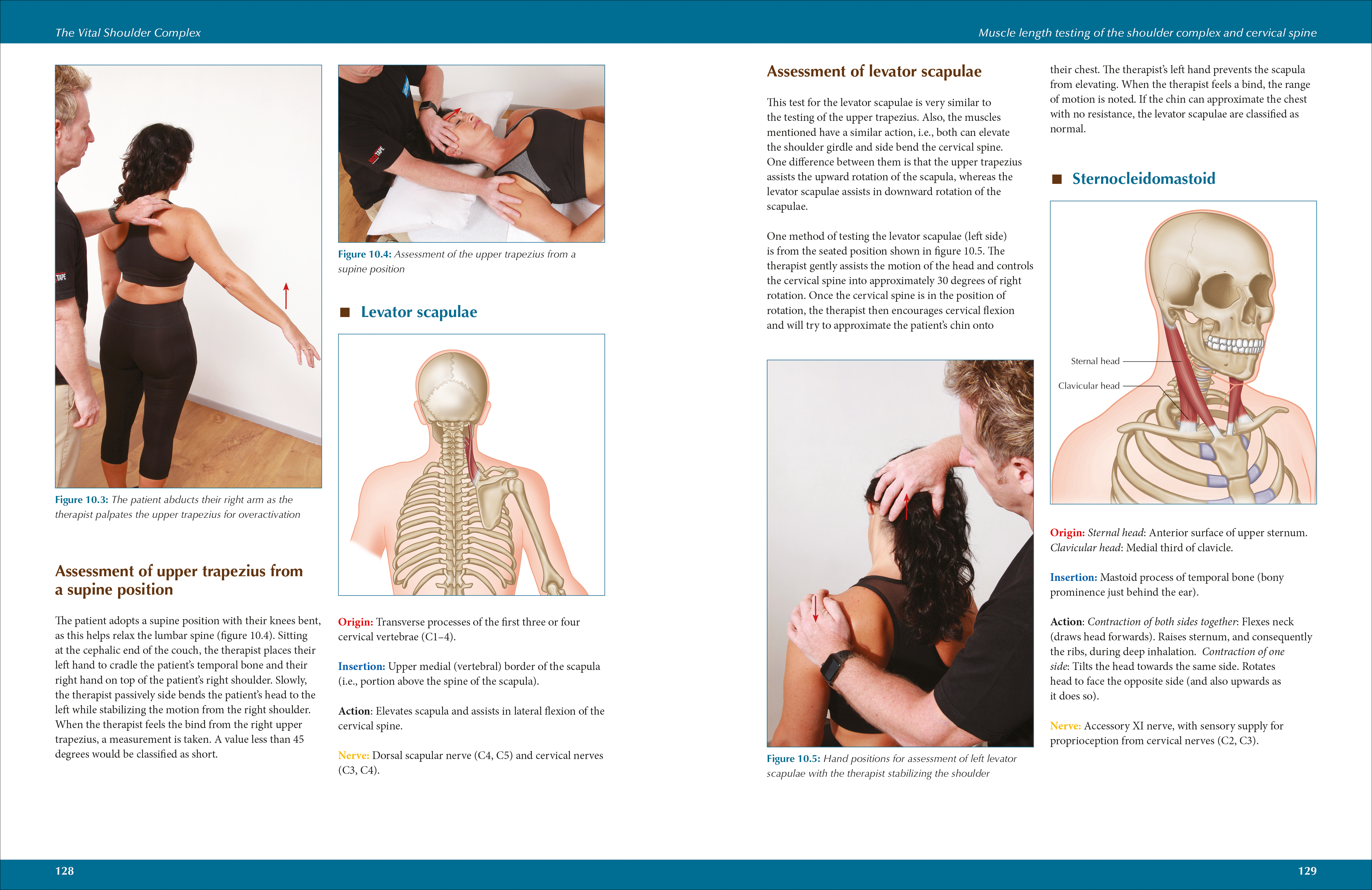 additional book photo