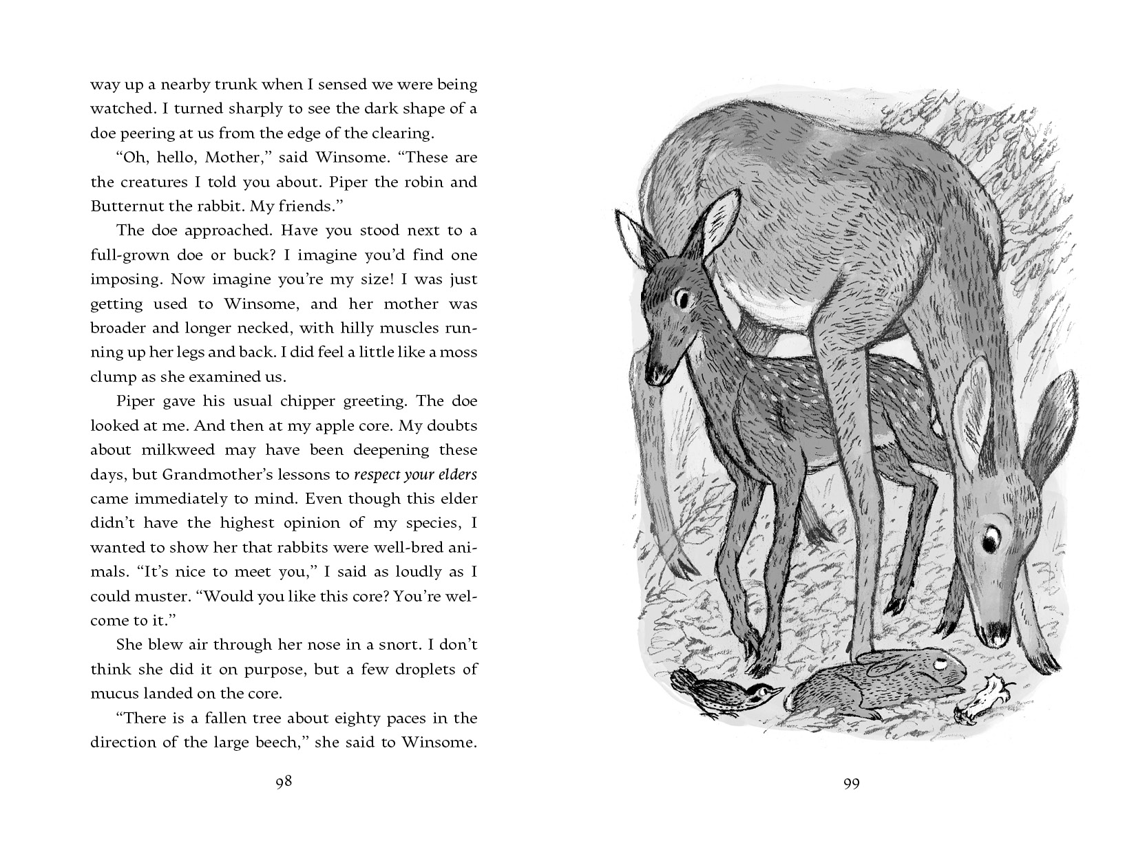 additional book photo