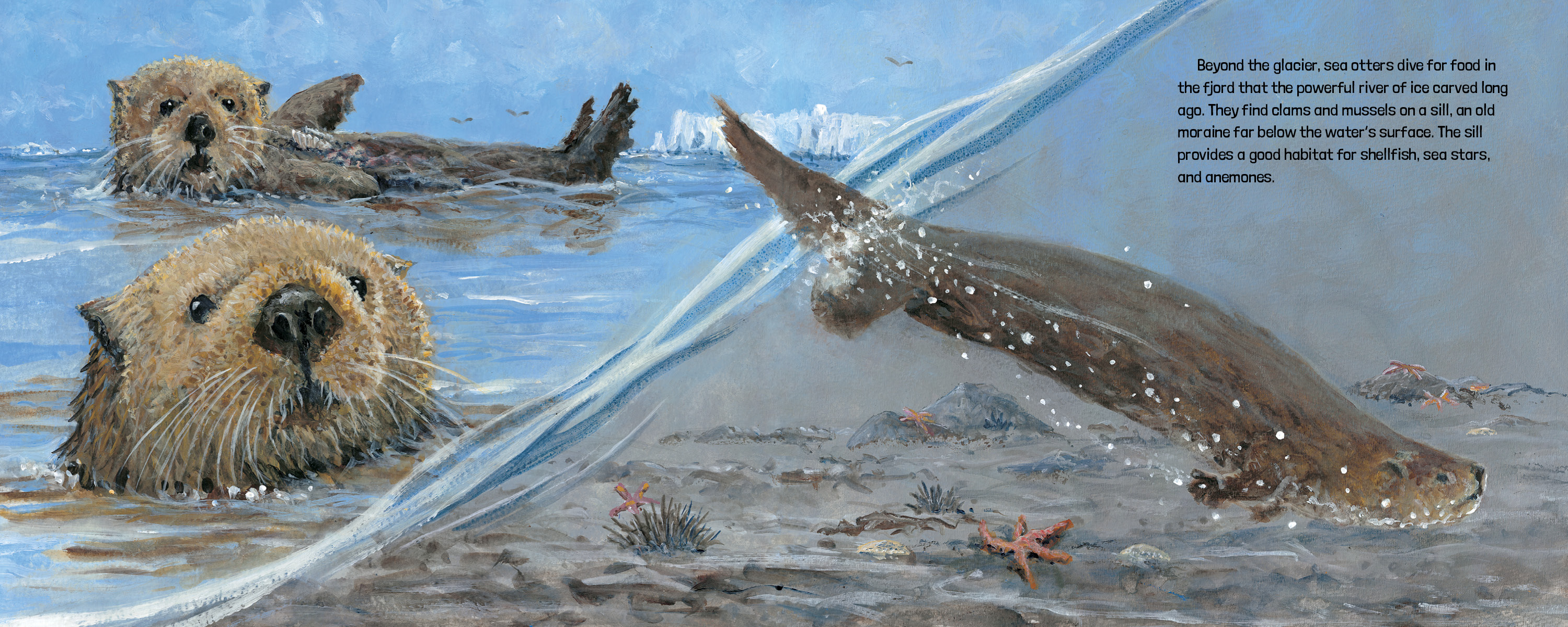 additional book photo