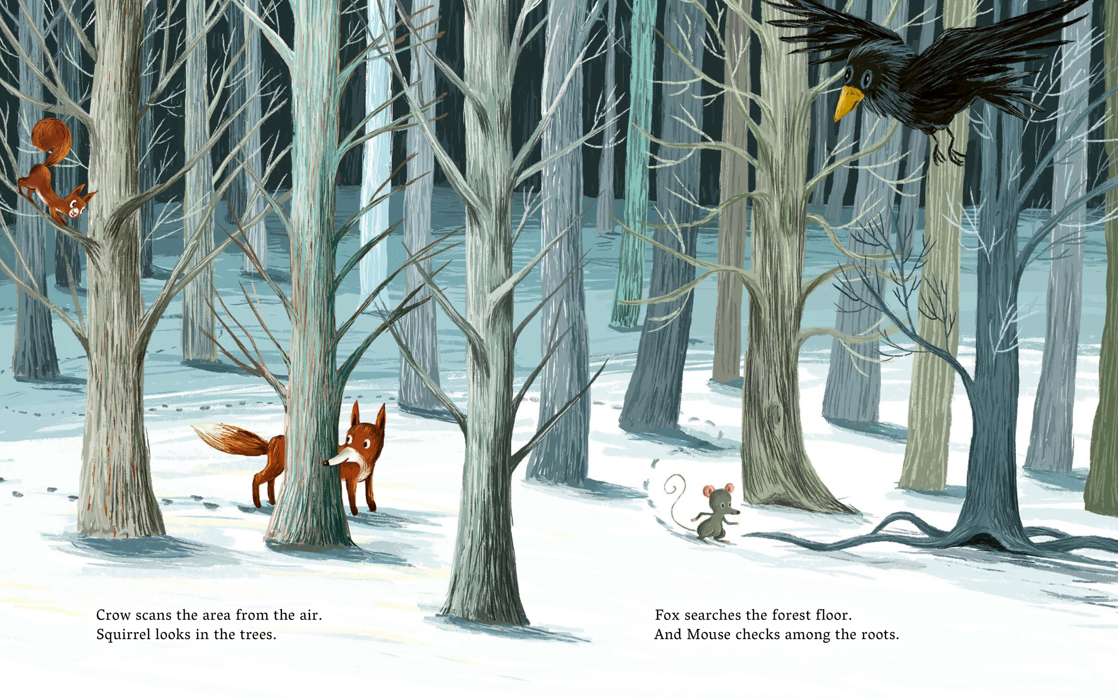 additional book photo