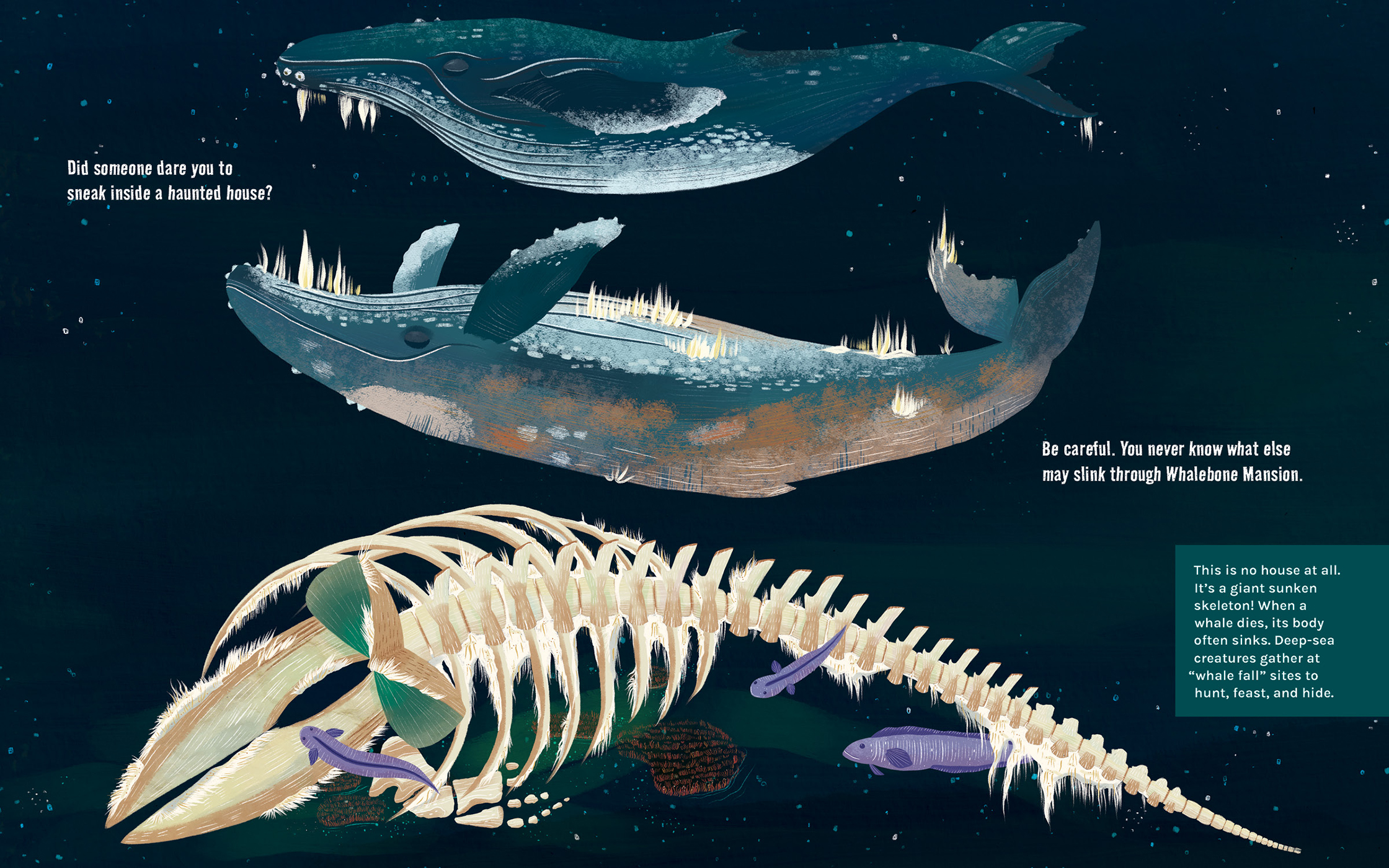 additional book photo