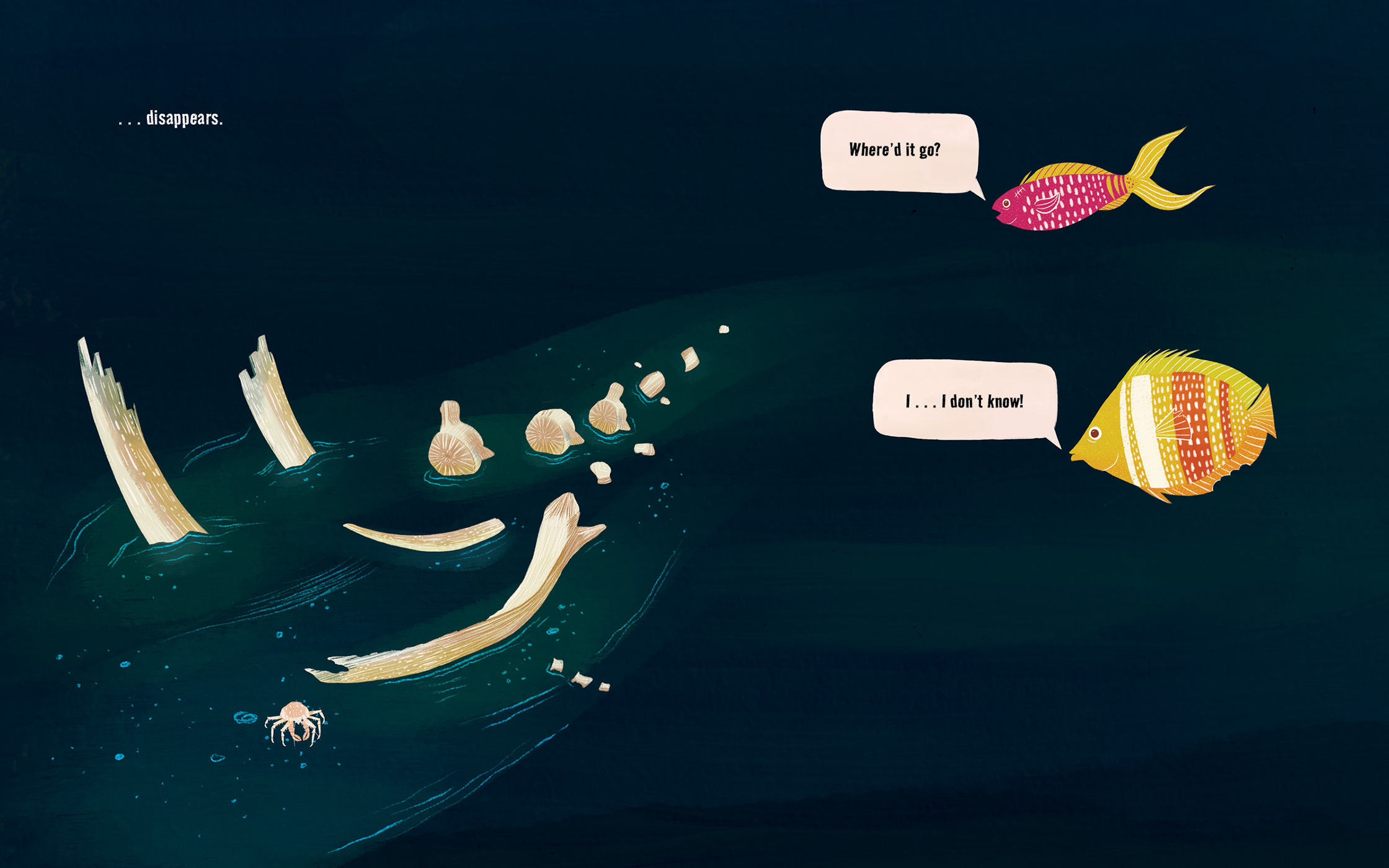 additional book photo