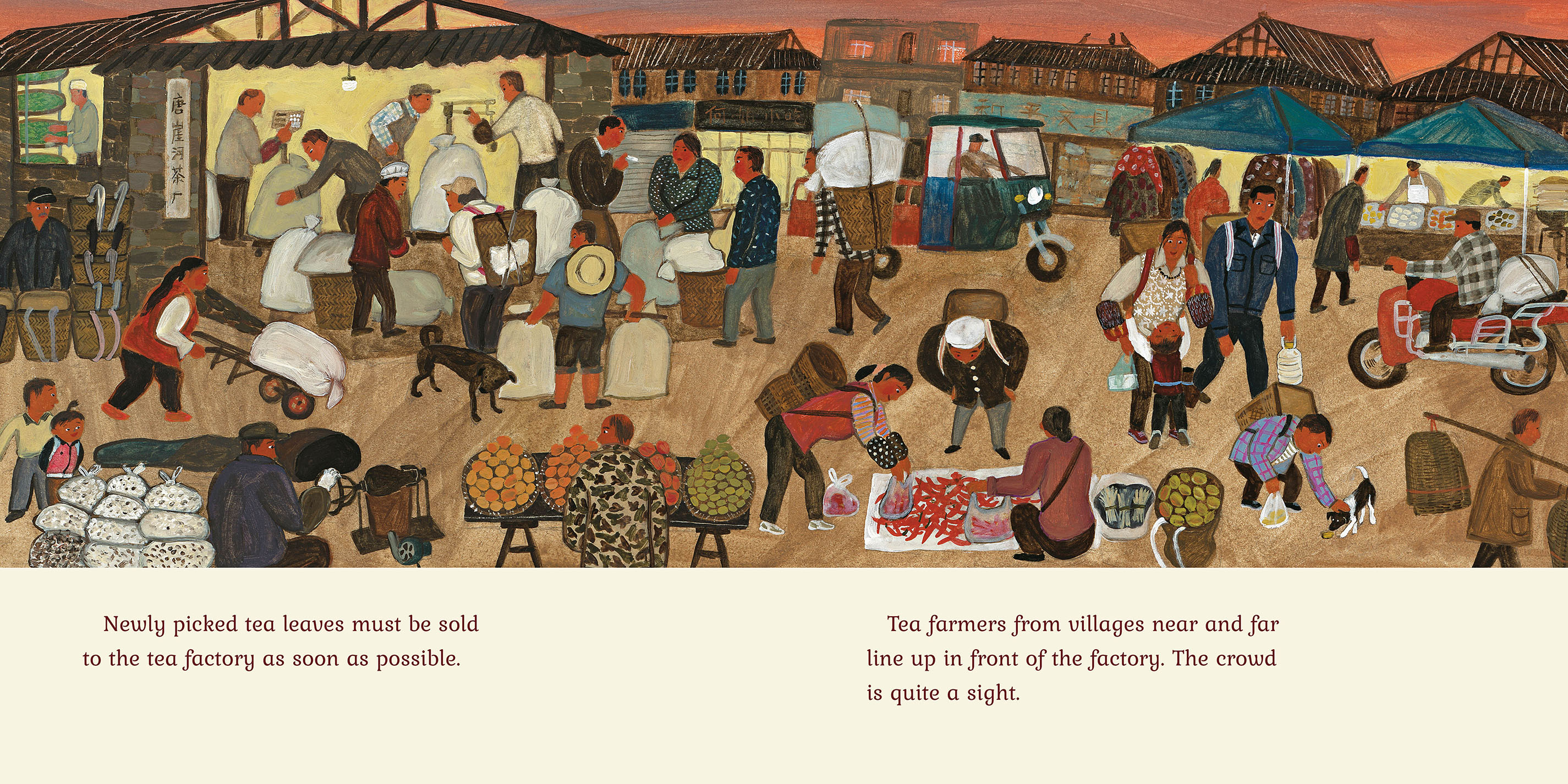 additional book photo