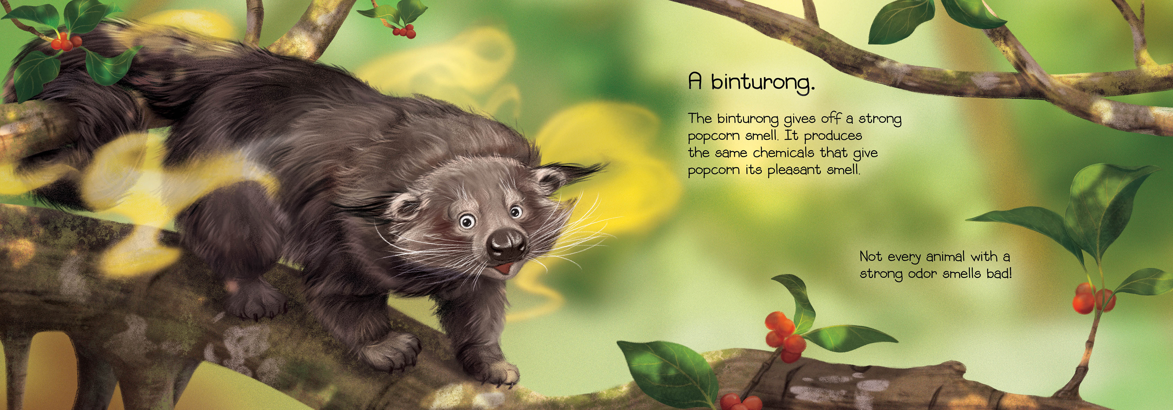 additional book photo