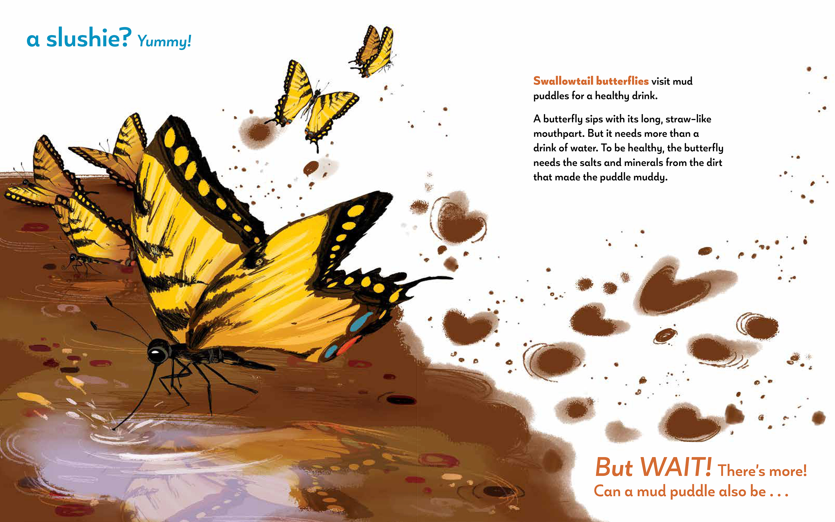 additional book photo