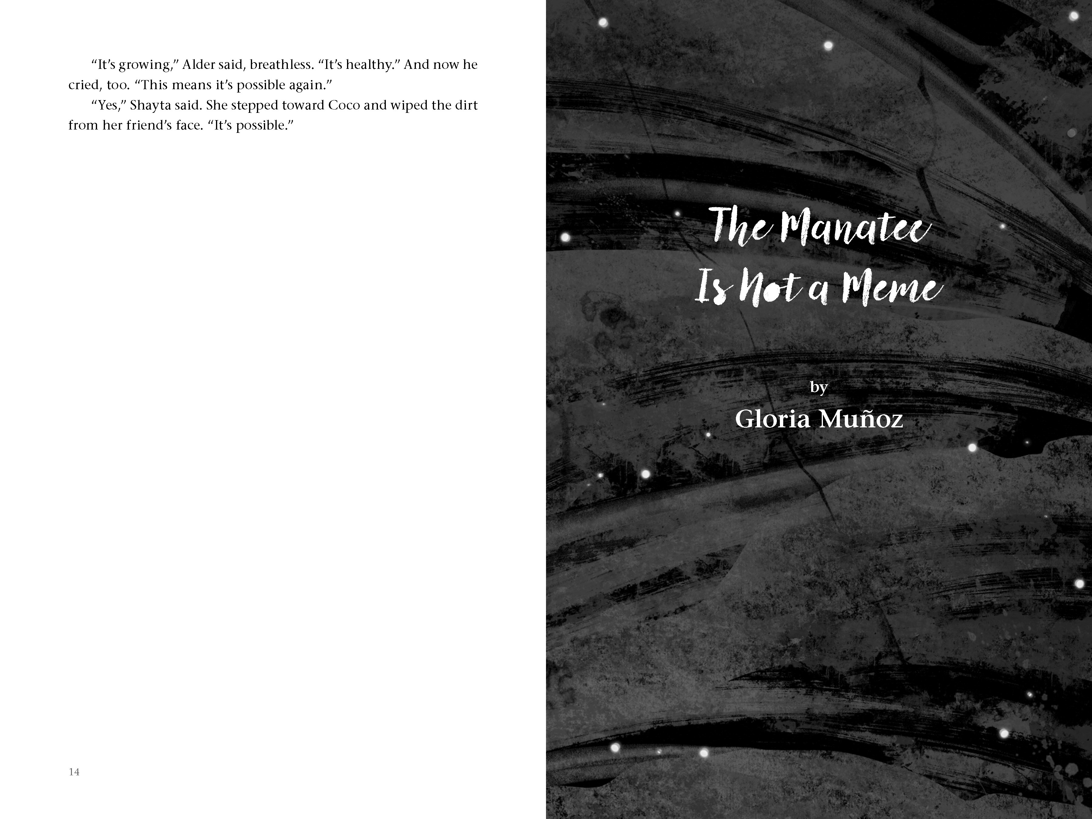 additional book photo