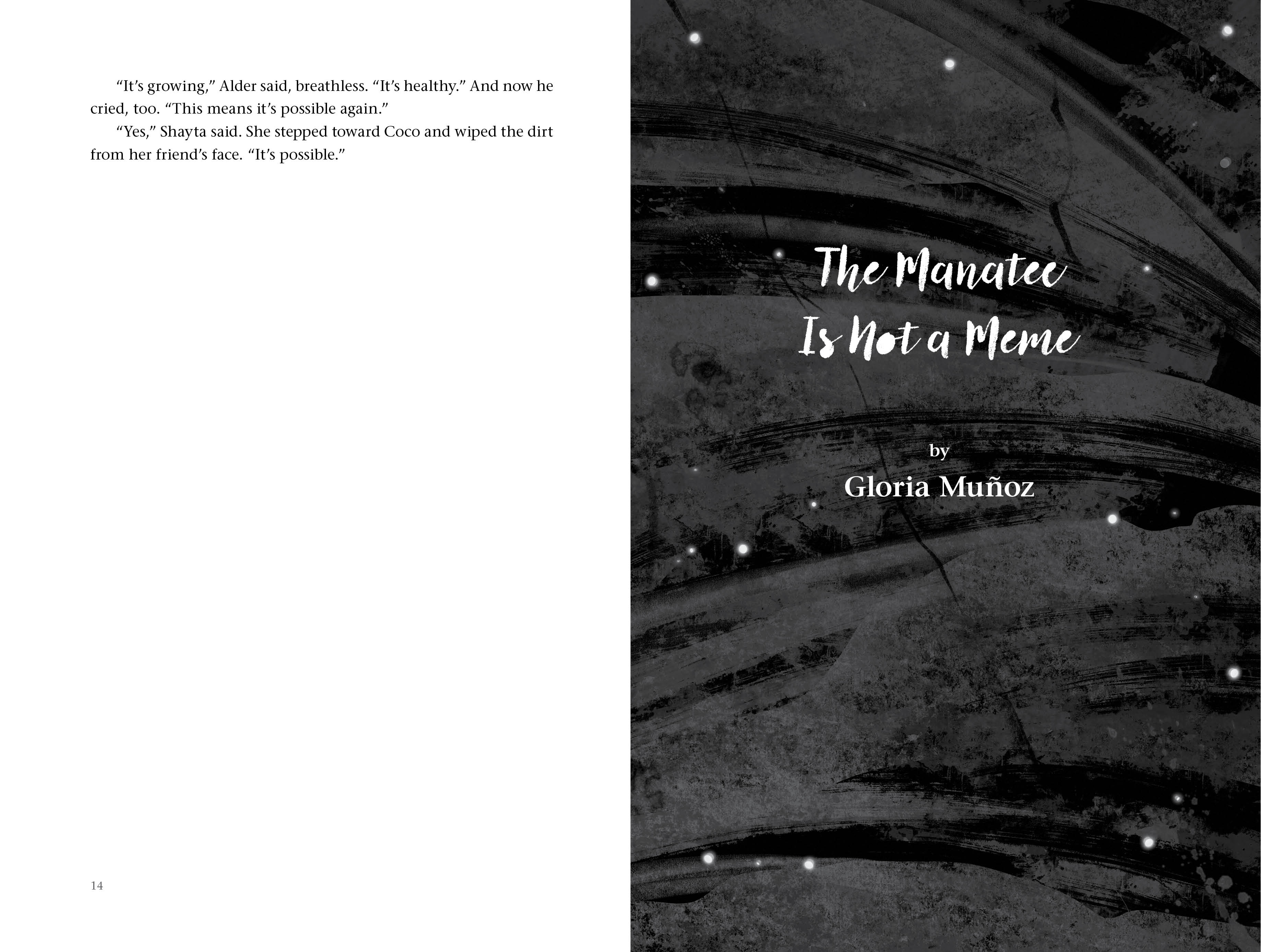additional book photo