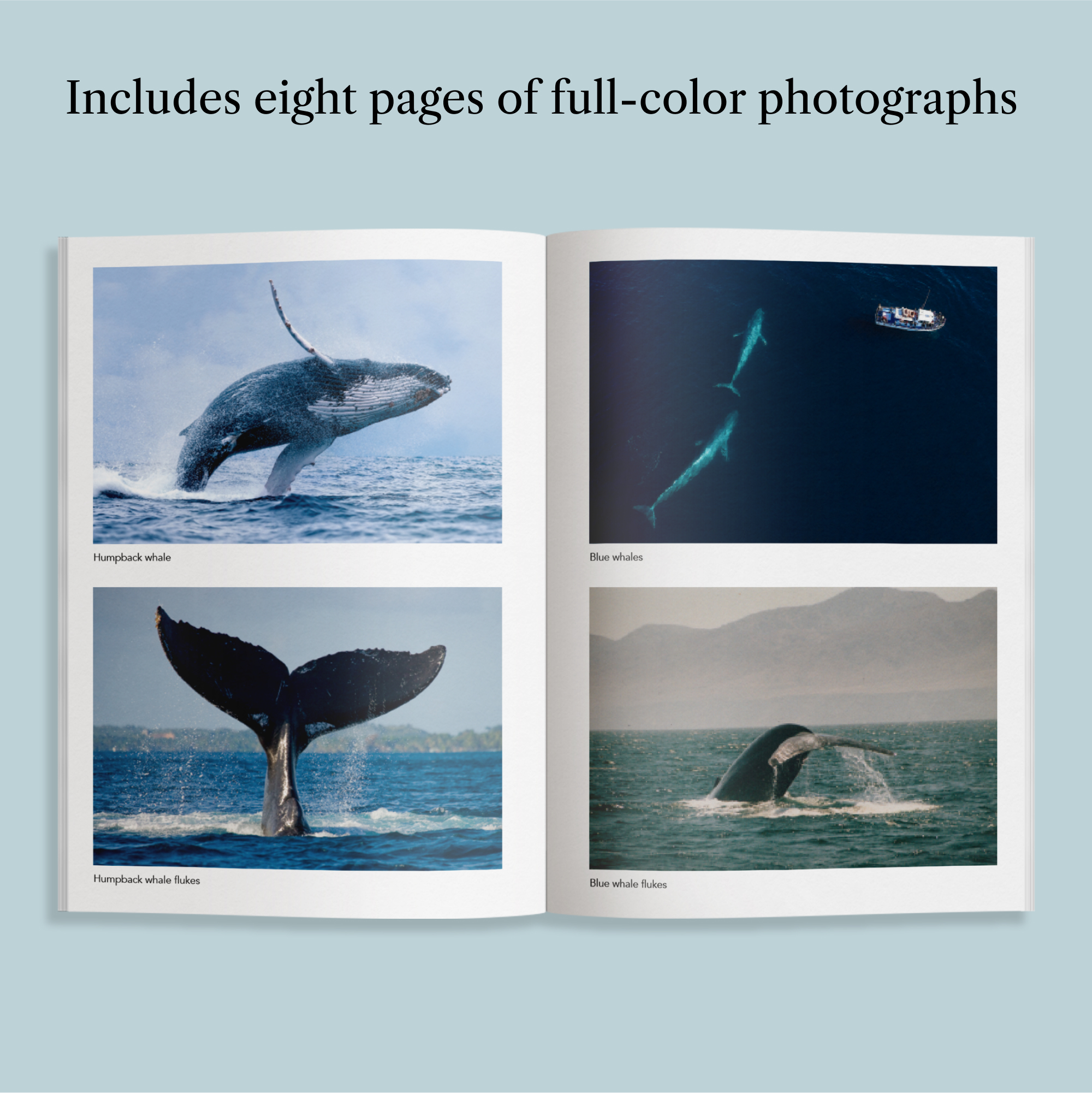 additional book photo