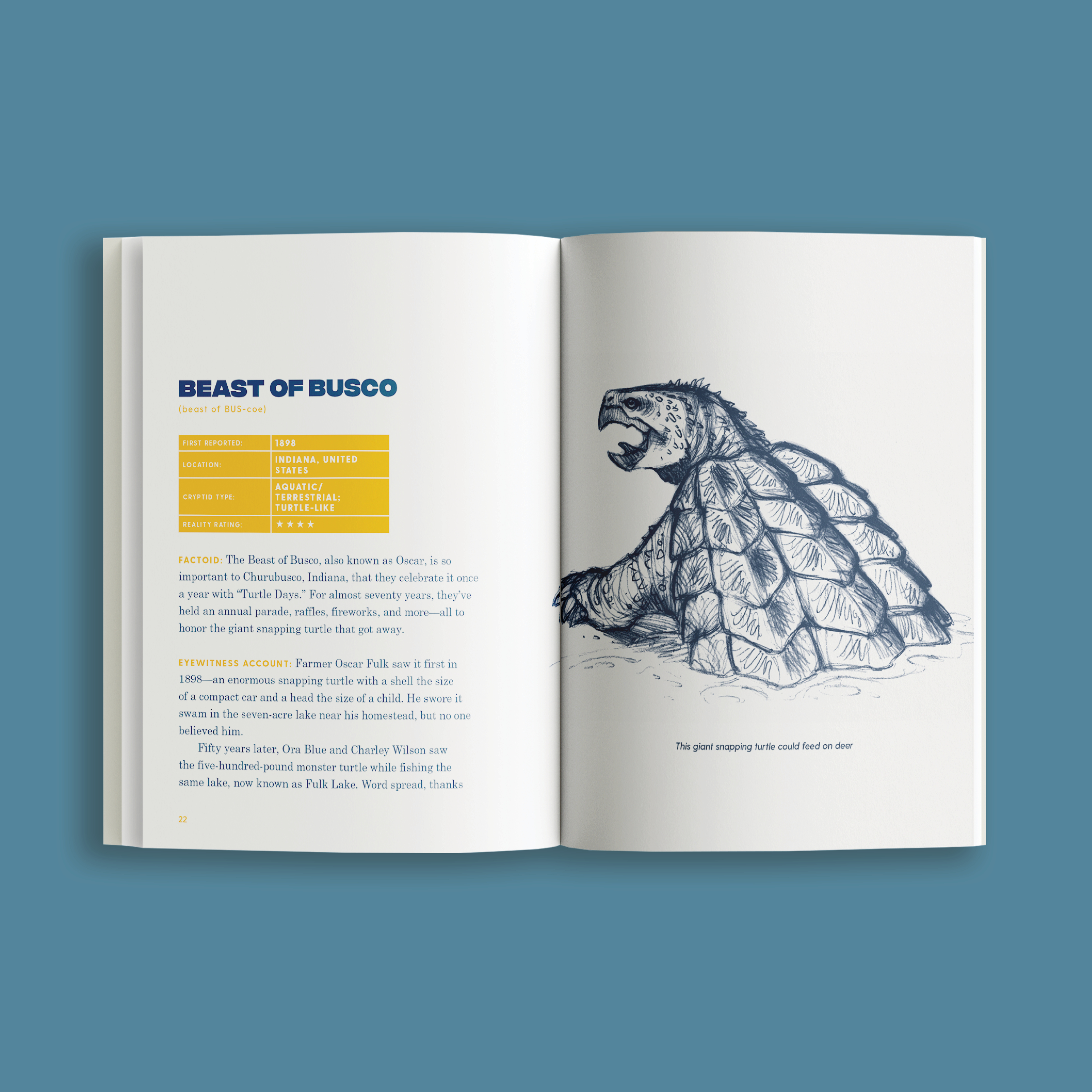 additional book photo