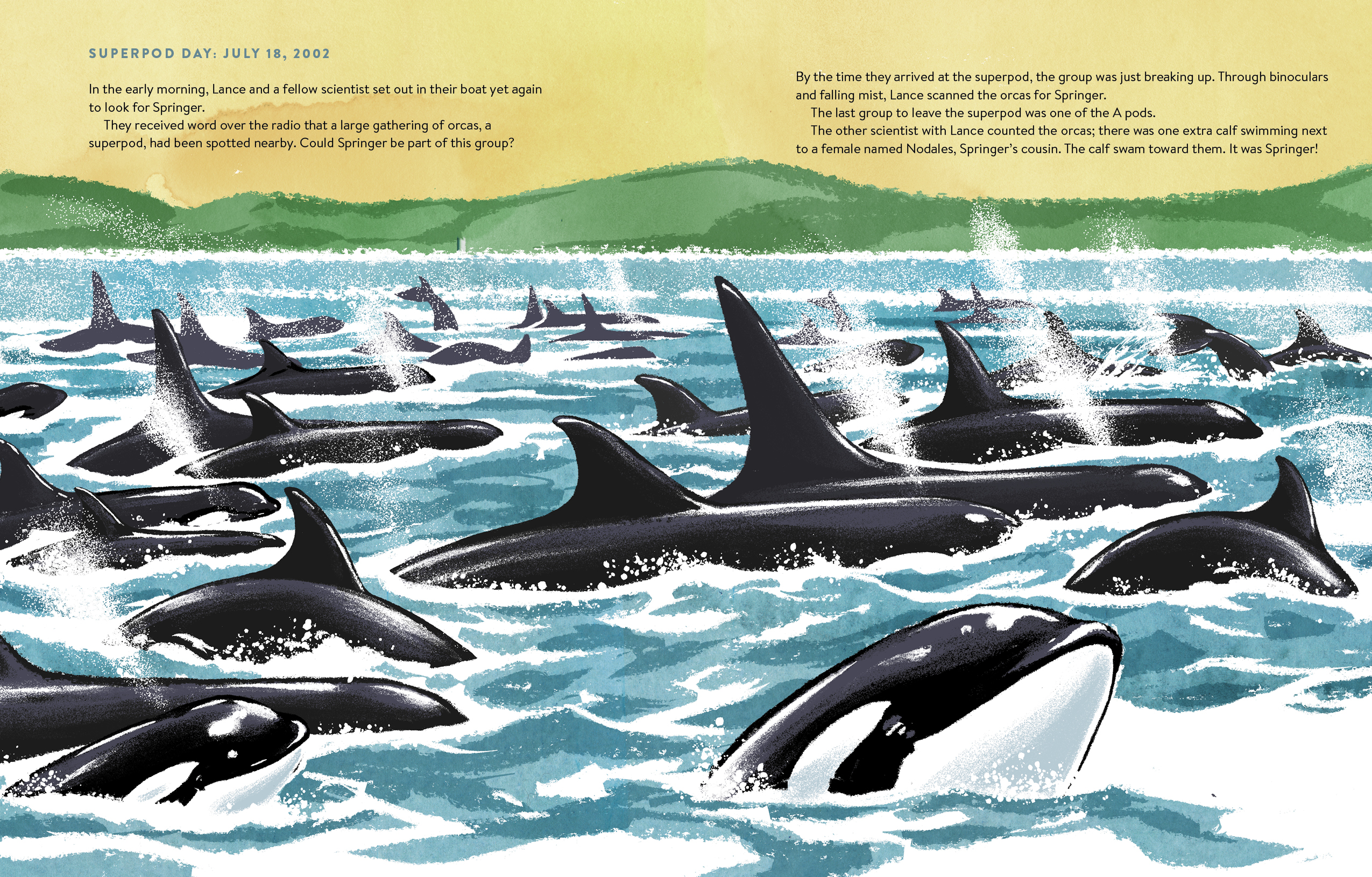 additional book photo