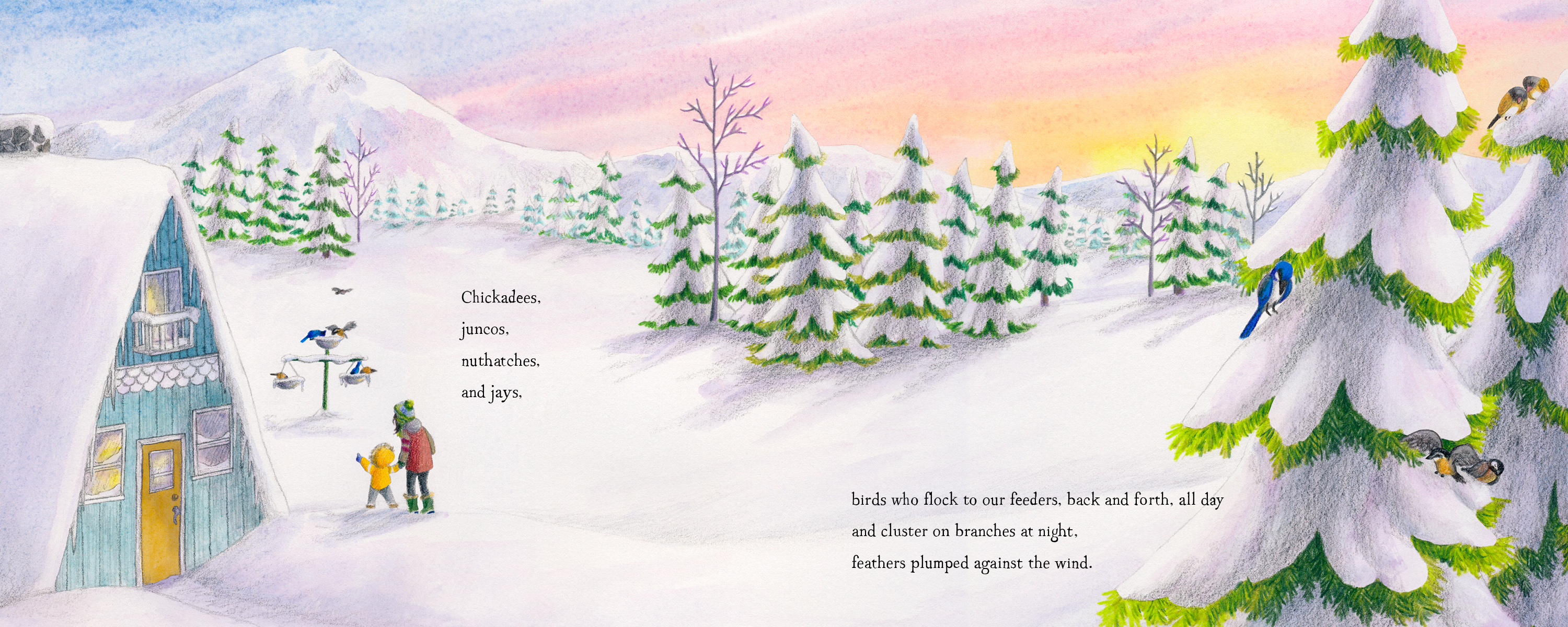 additional book photo