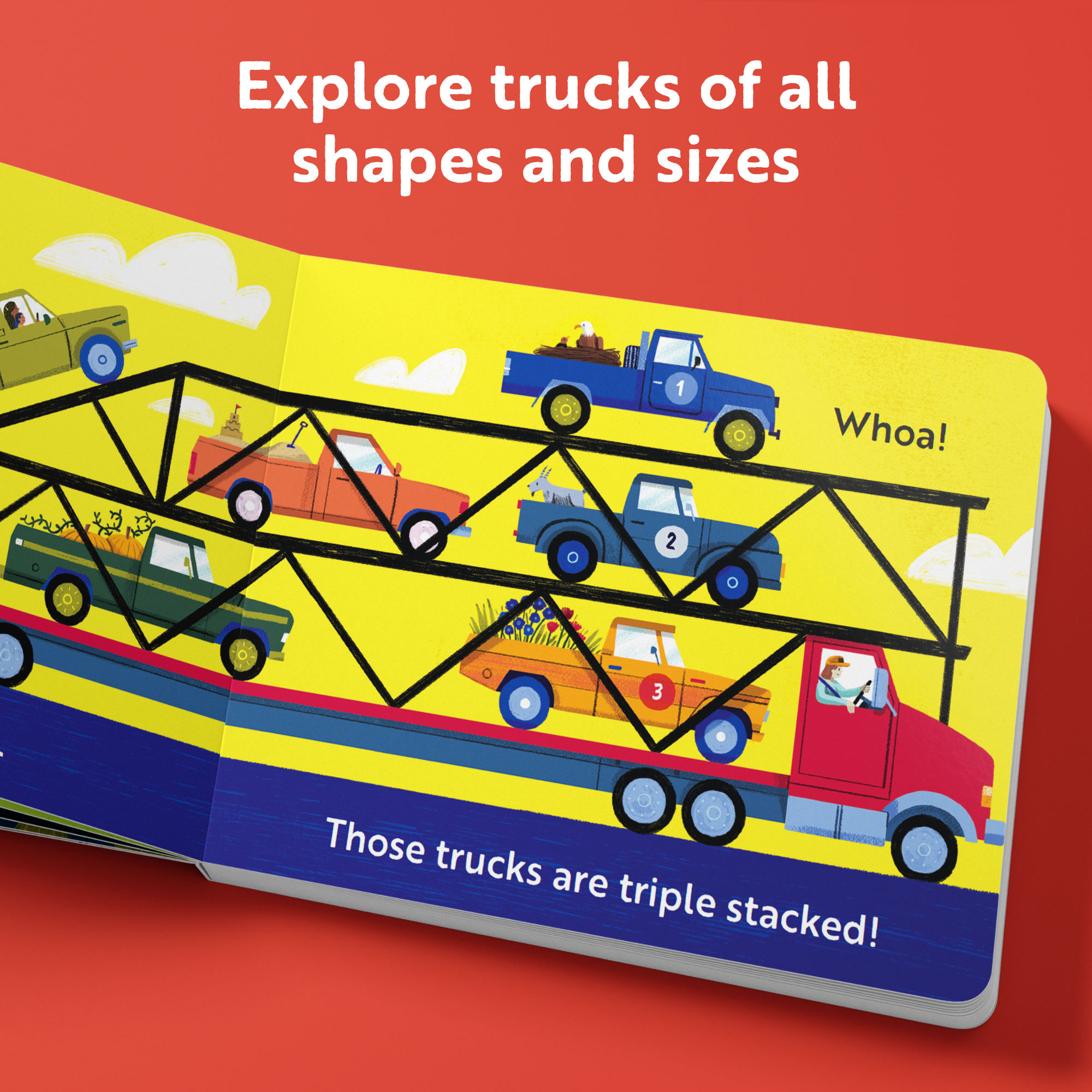 additional book photo