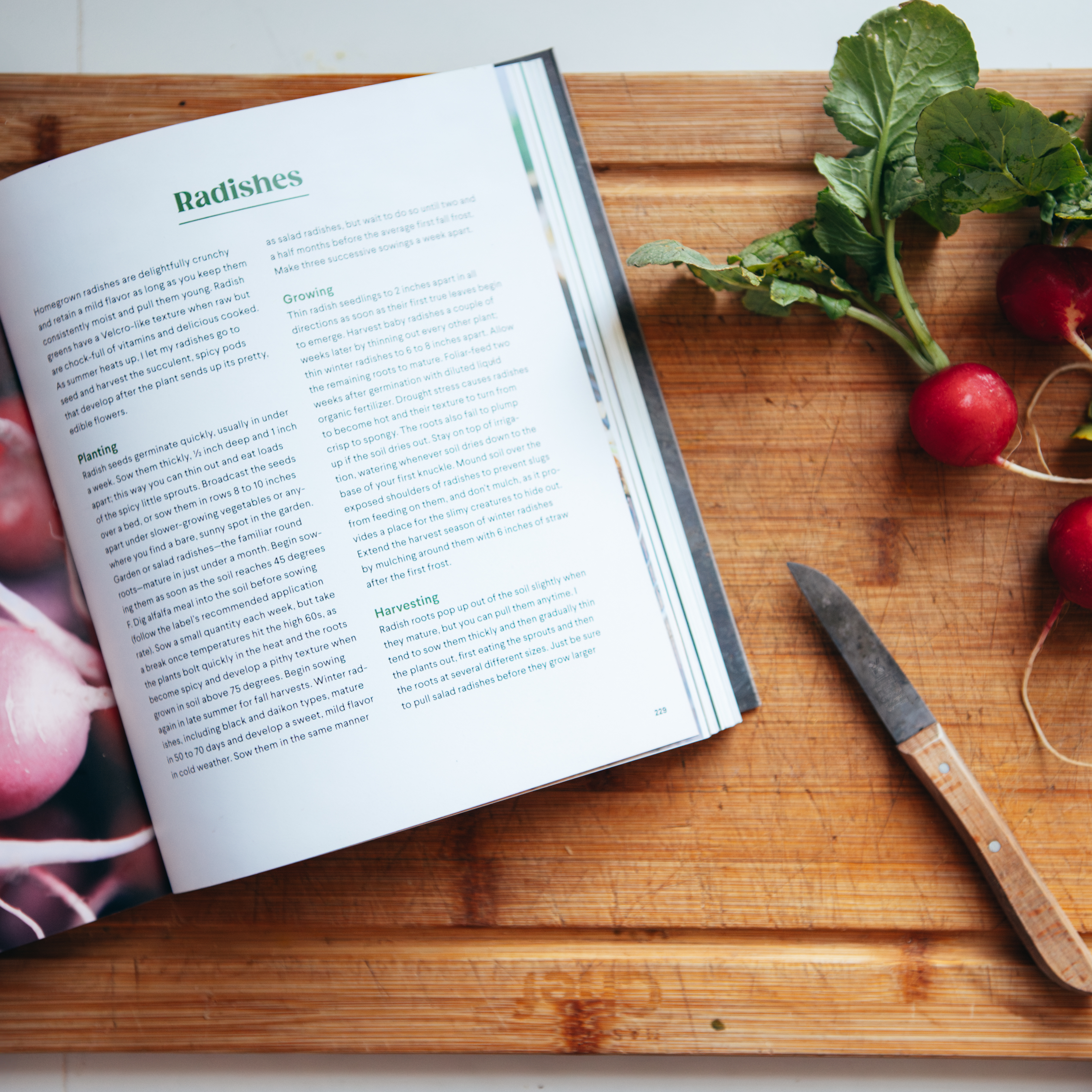 additional book photo