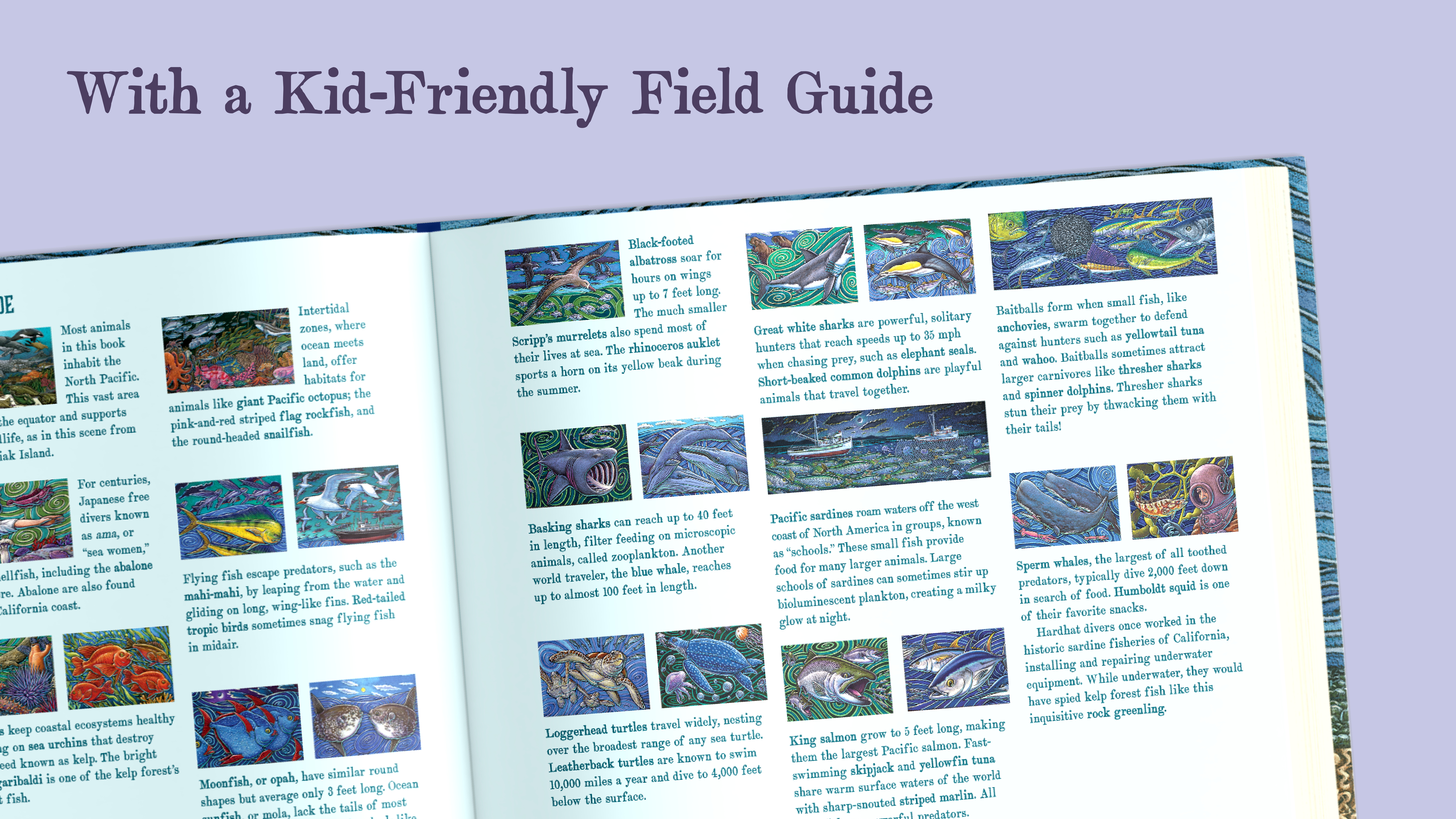 additional book photo
